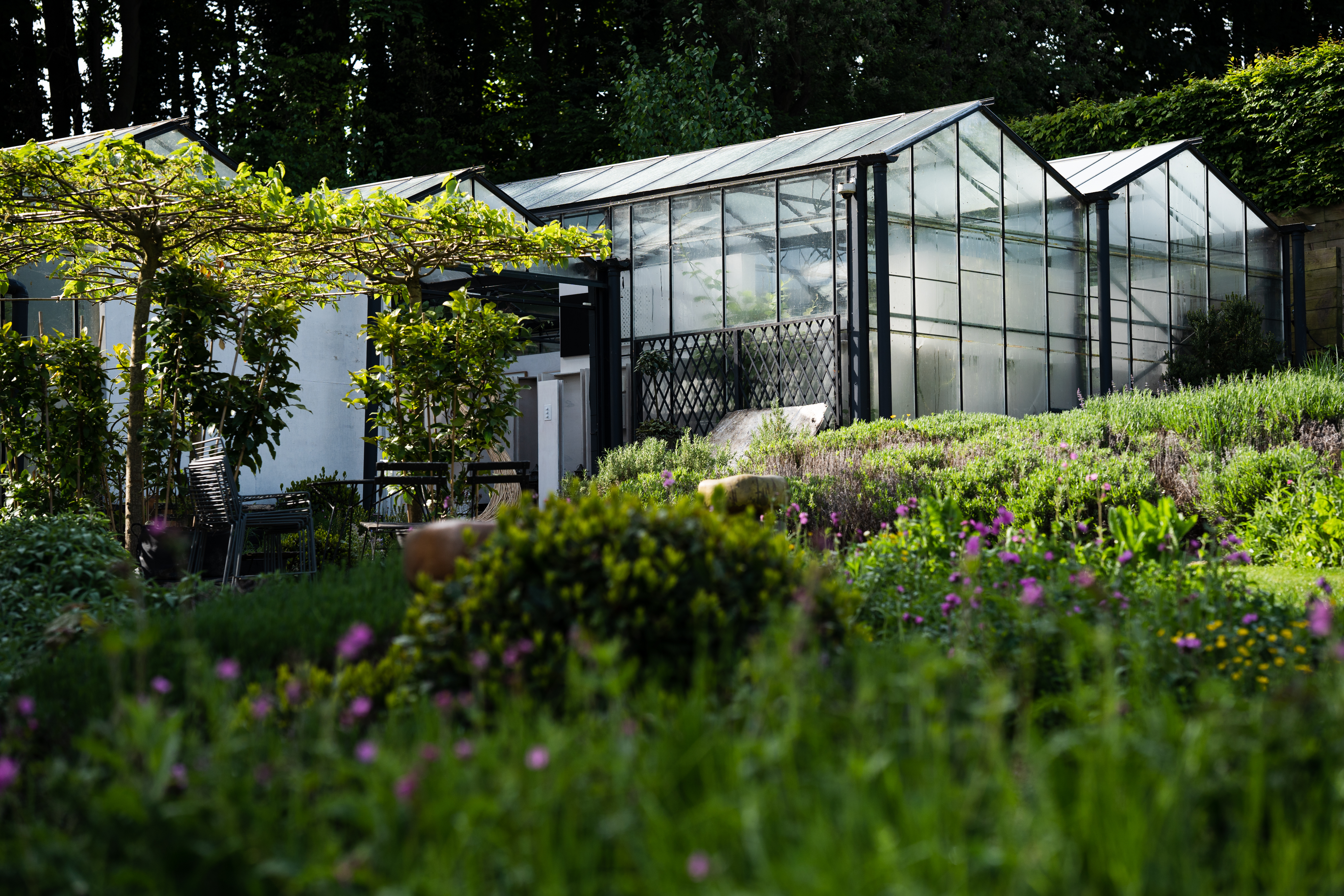 Flower Show FOMO? The best Chelsea fringe events in London this week