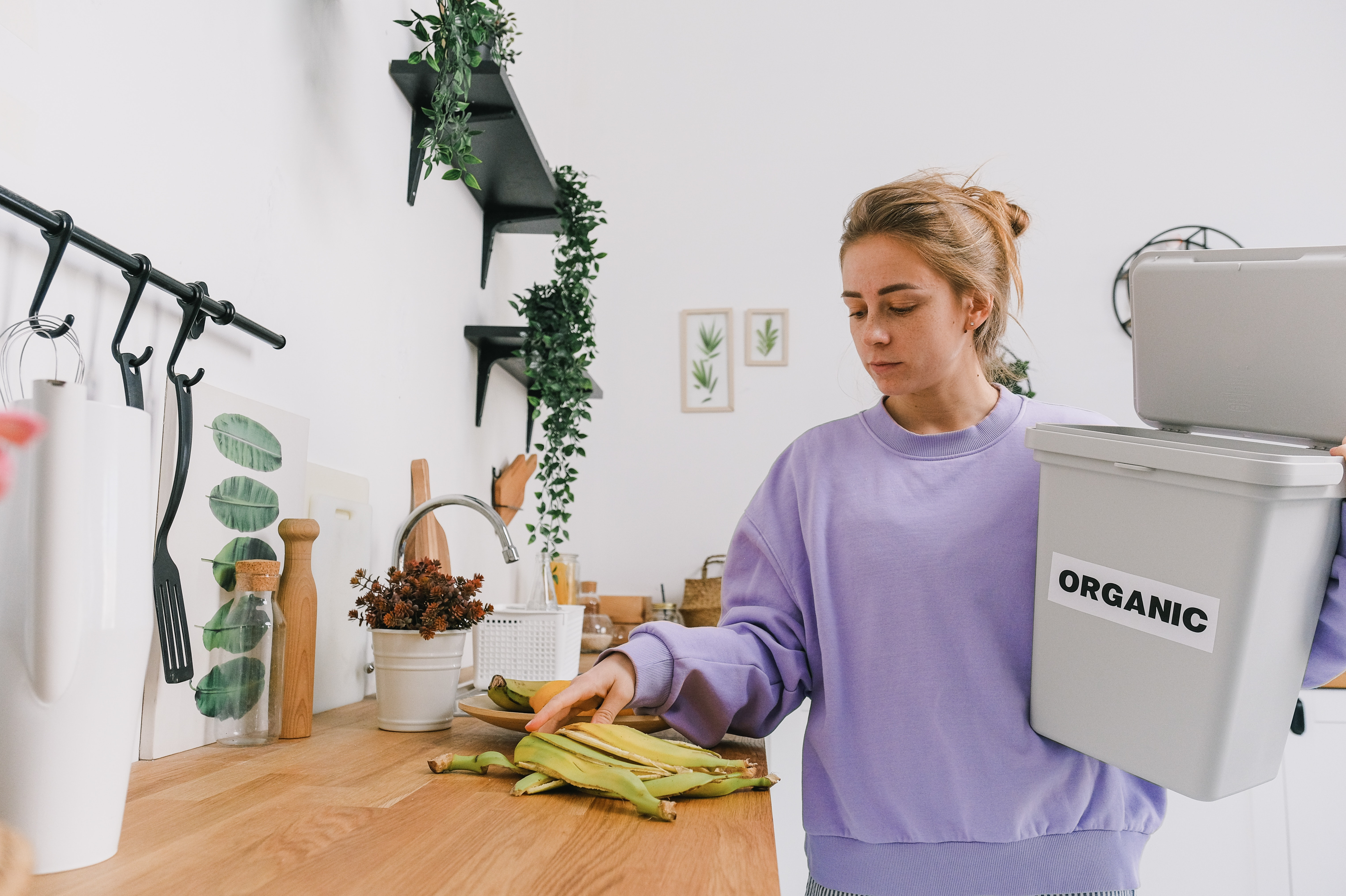 Best food waste disposal units for your home kitchen