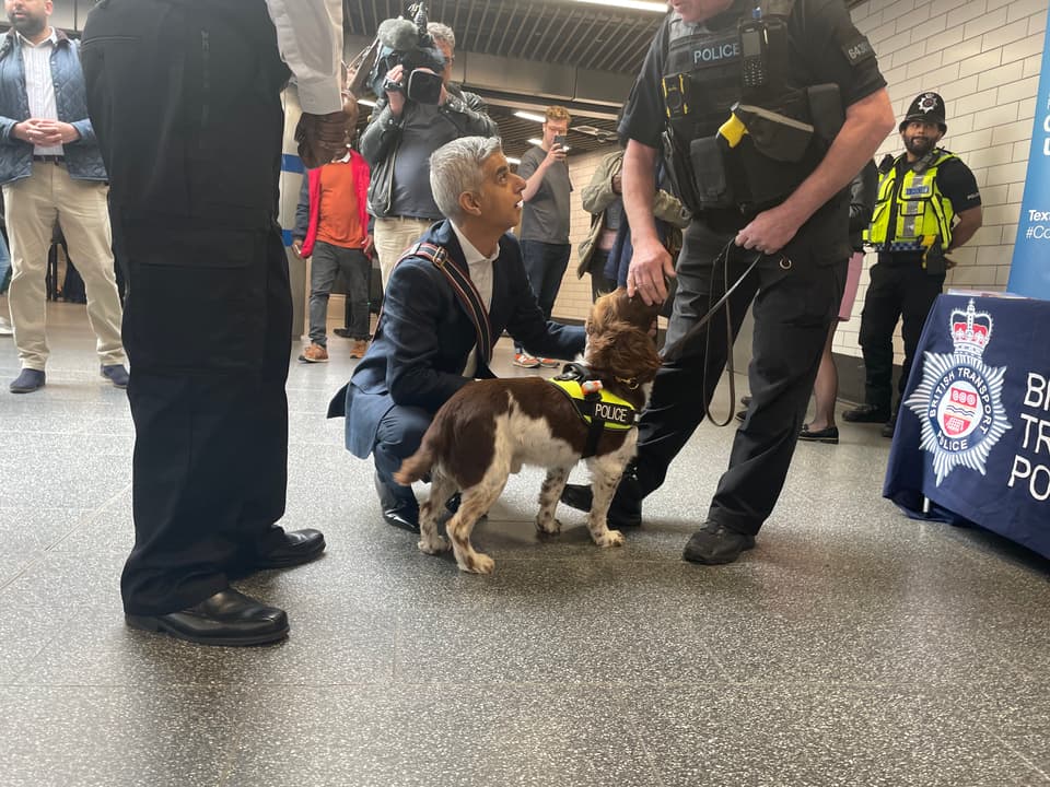 Sadiq Khan meets a police dog helping to enforce Operation Denali - aimed at reducing violent crime across the capital.