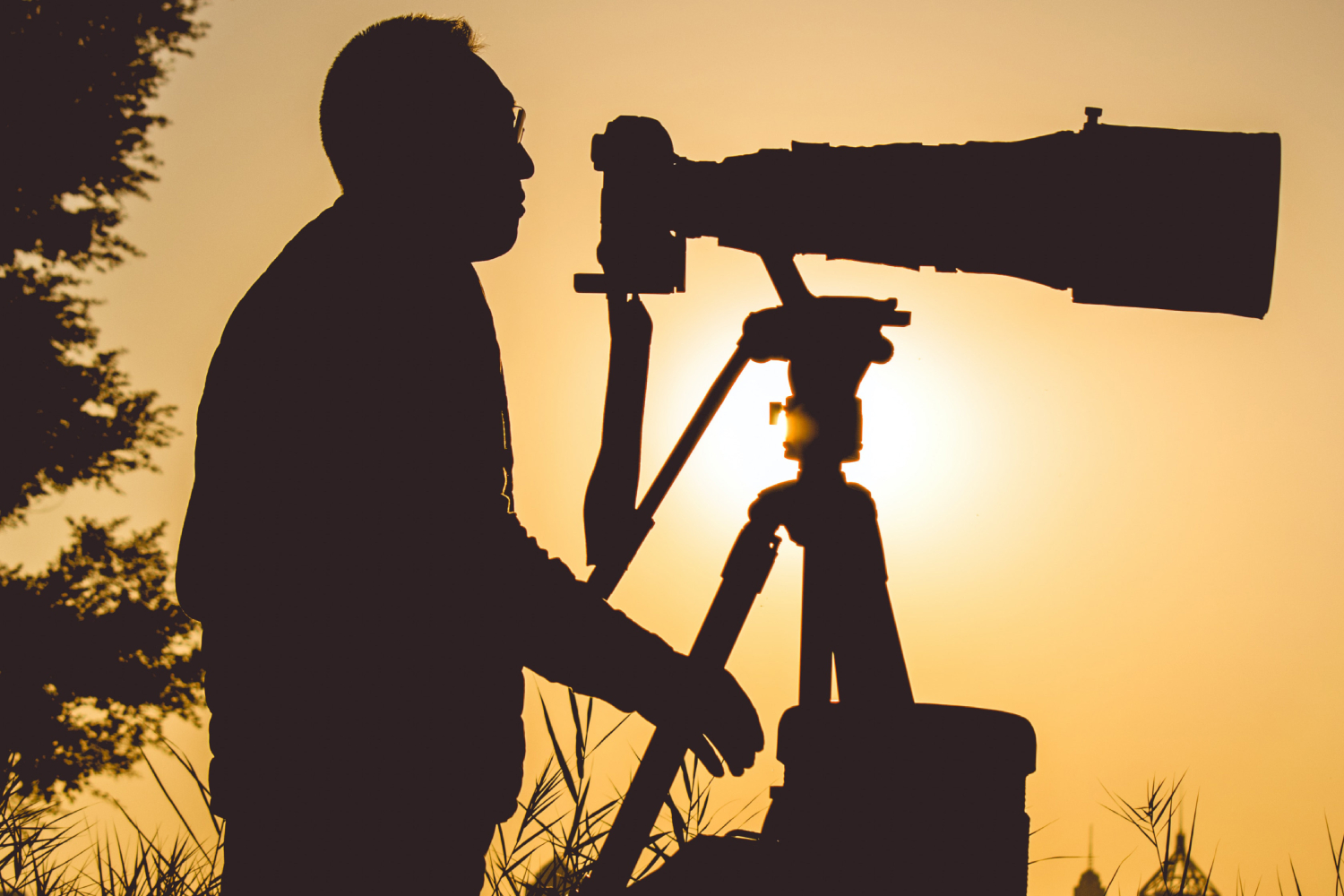 Best birdwatching cameras to develop your hobby