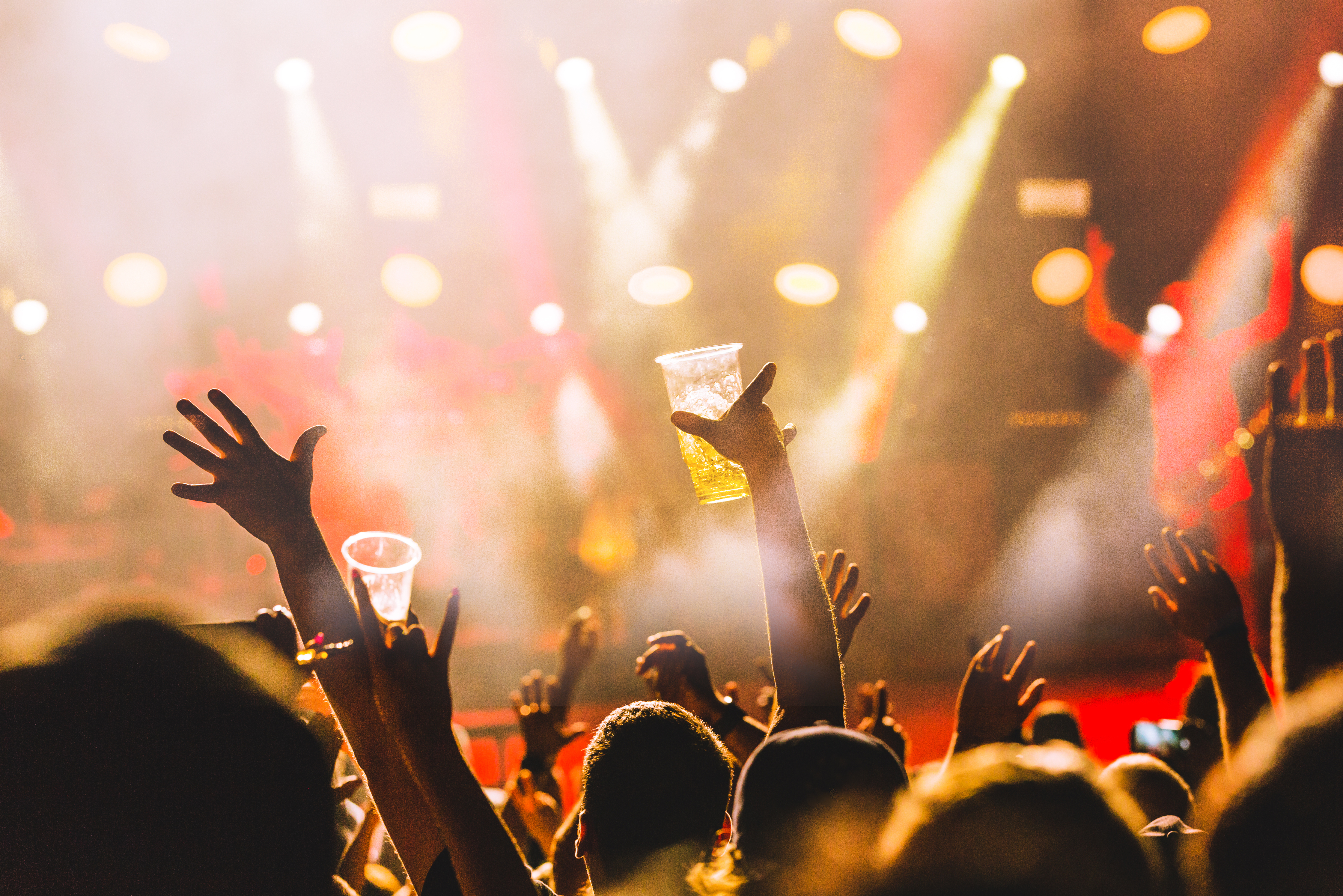 Festival 101: Your ultimate survival guide