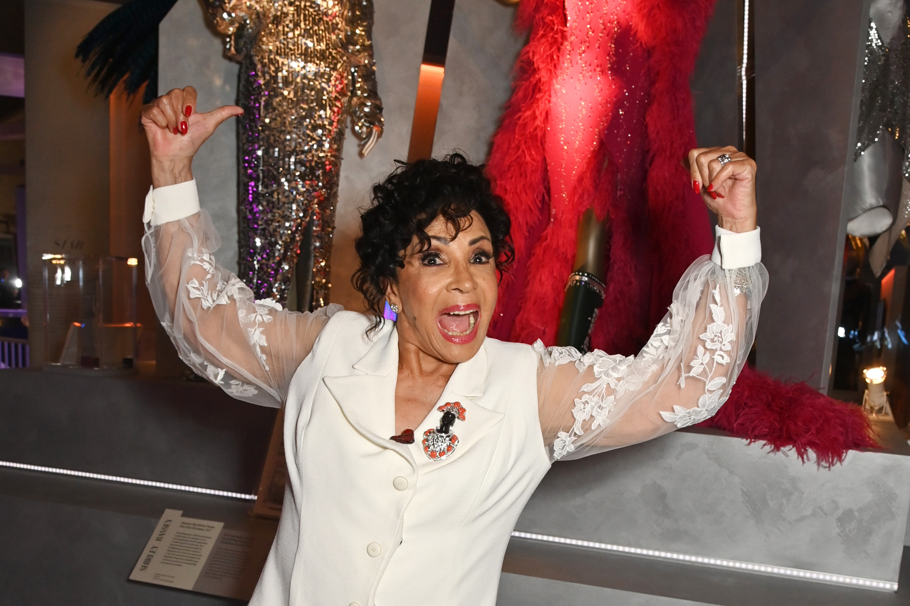 V&A Summer Party And Diva Exhibition Preview Supported By Net-A-Porter - Inside