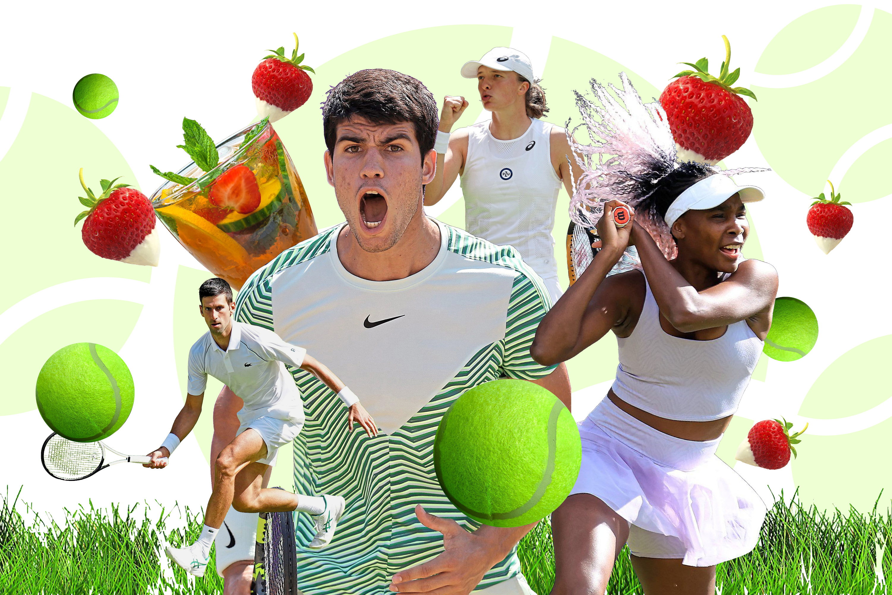 Match pointers: your ultimate Wimbledon cheat sheet
