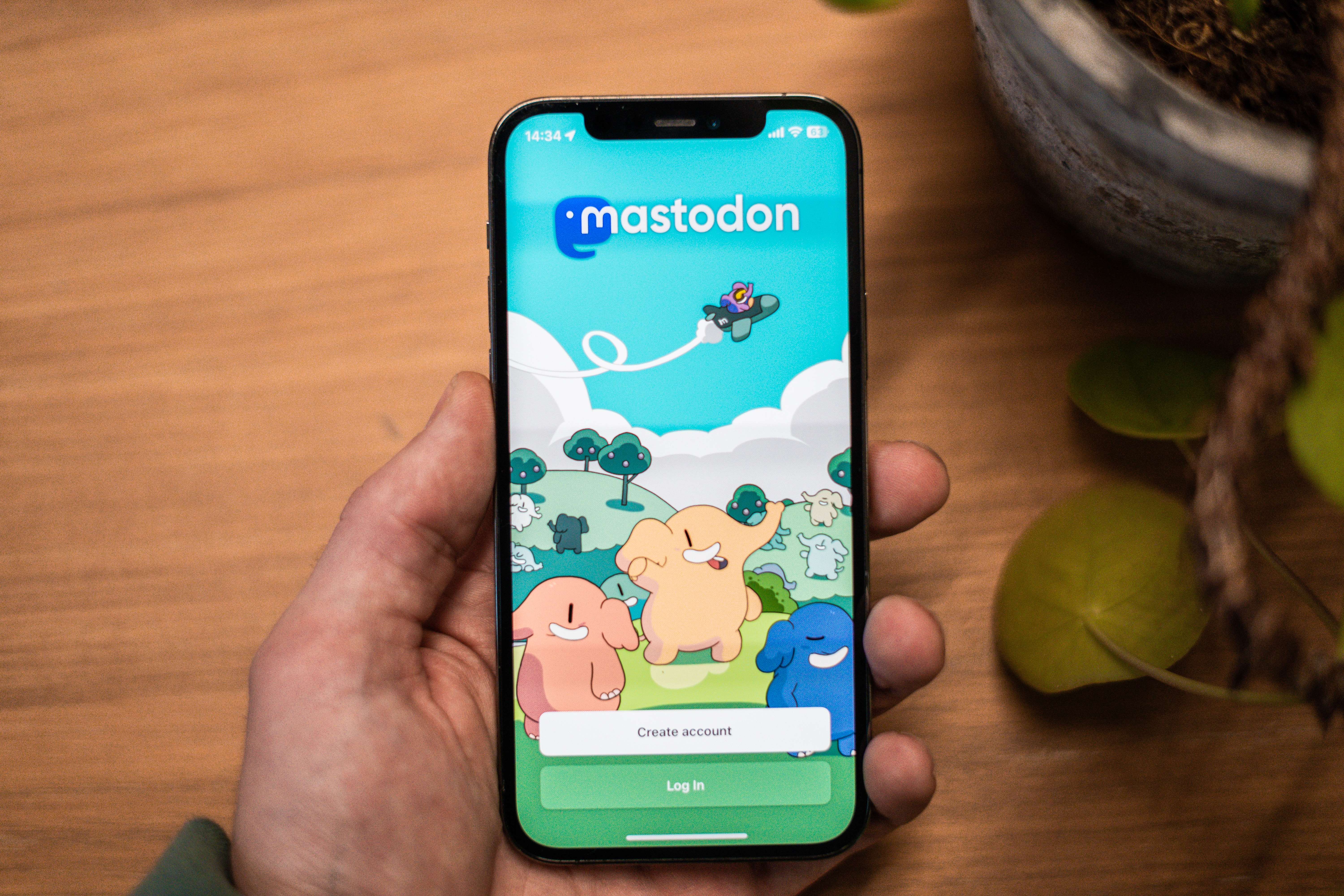 A hand holding a smartphone with the Mastodon app on it 