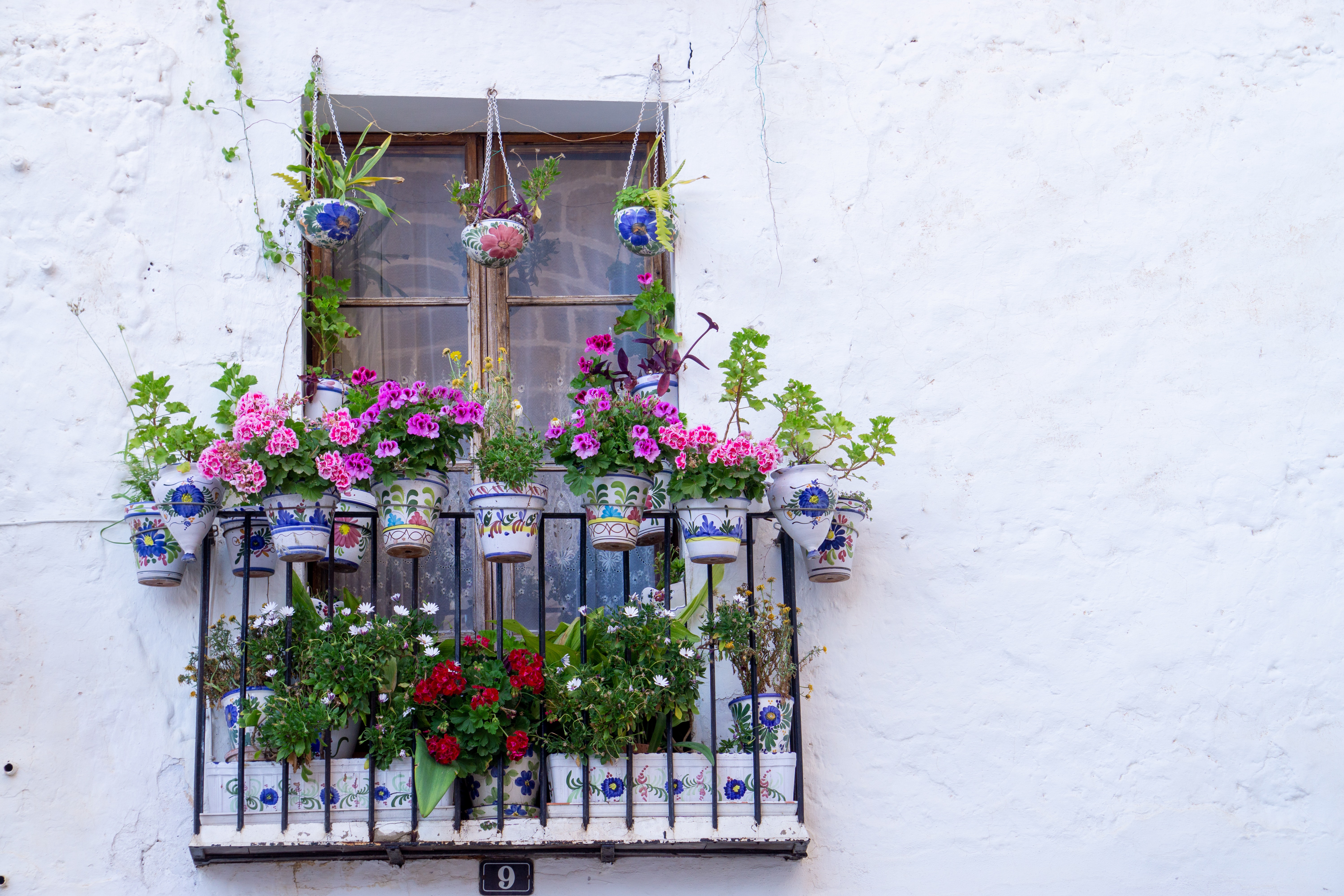 Best balcony plants: Potted plants and hangers to decorate your space