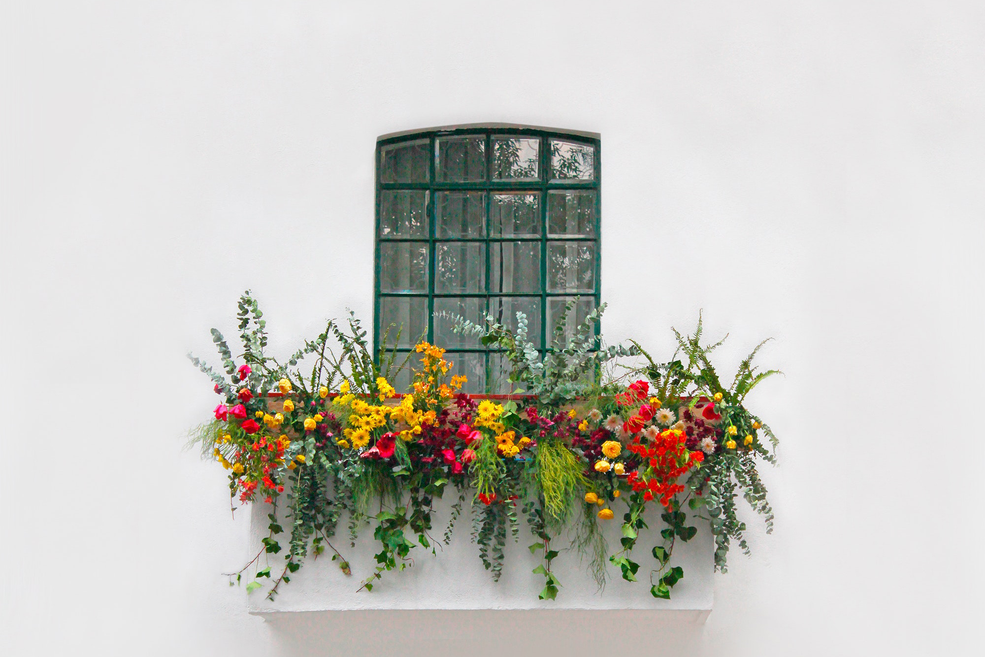 9 of the best plants for hanging baskets