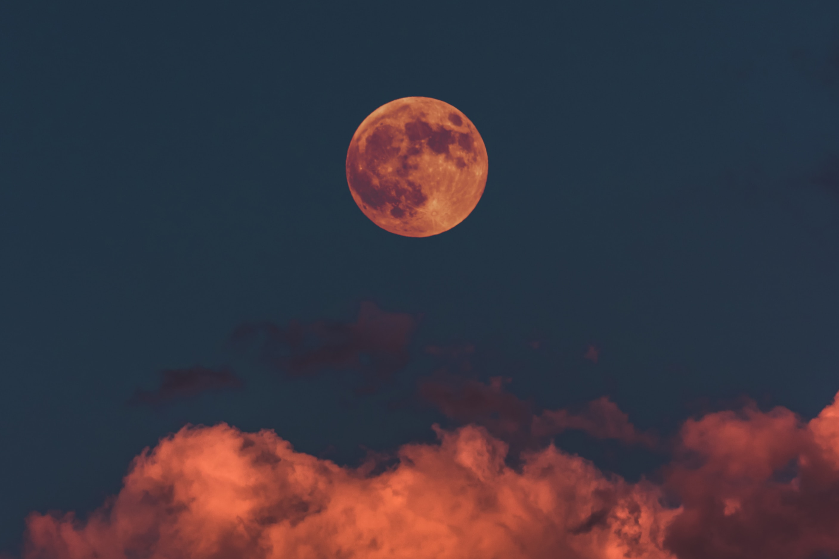 Your September monthly horoscope by The Astrology Vixen 