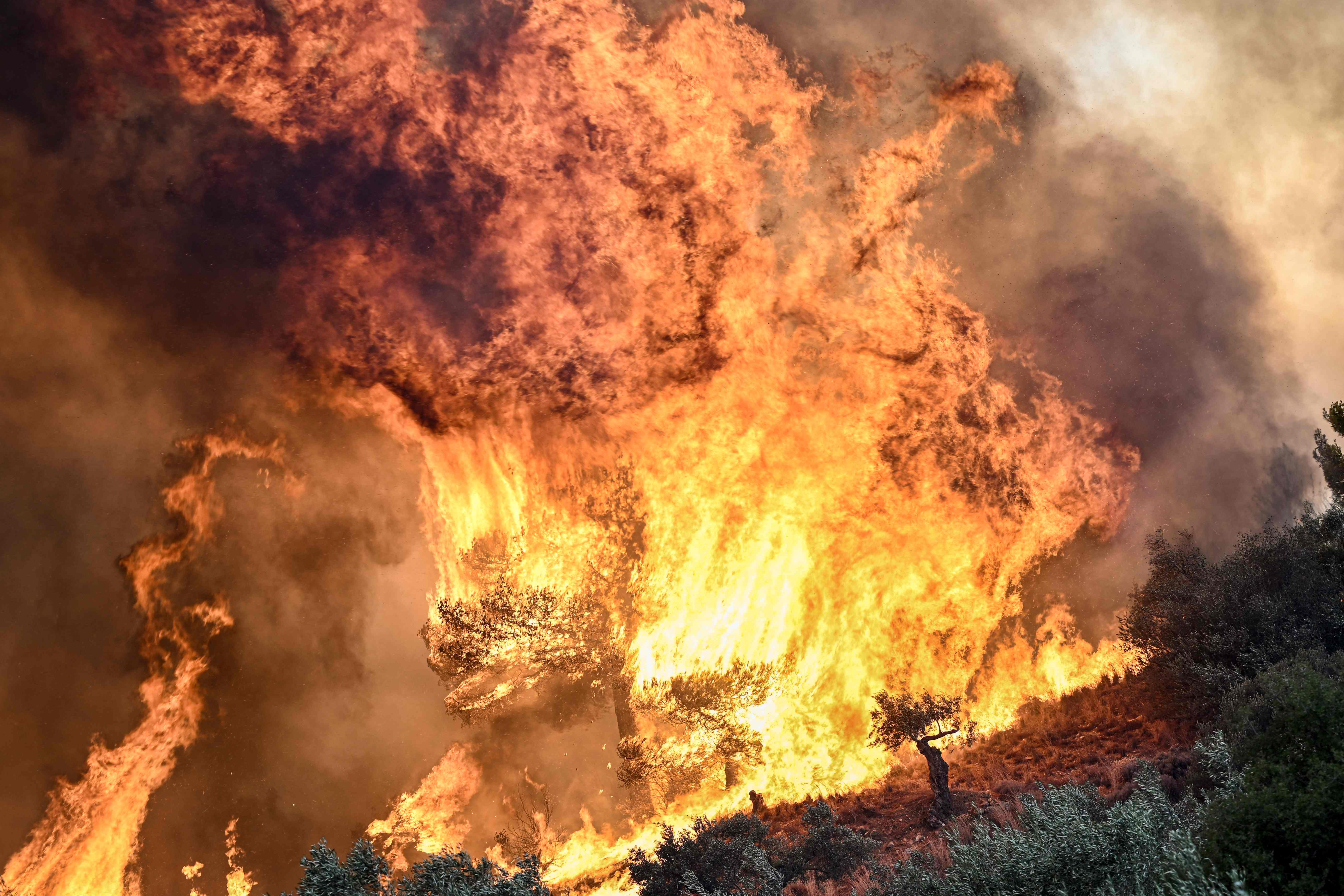 2023 extreme weather events: What is causing a year of disasters, from Hurricane Idalia to Greek wildfires?