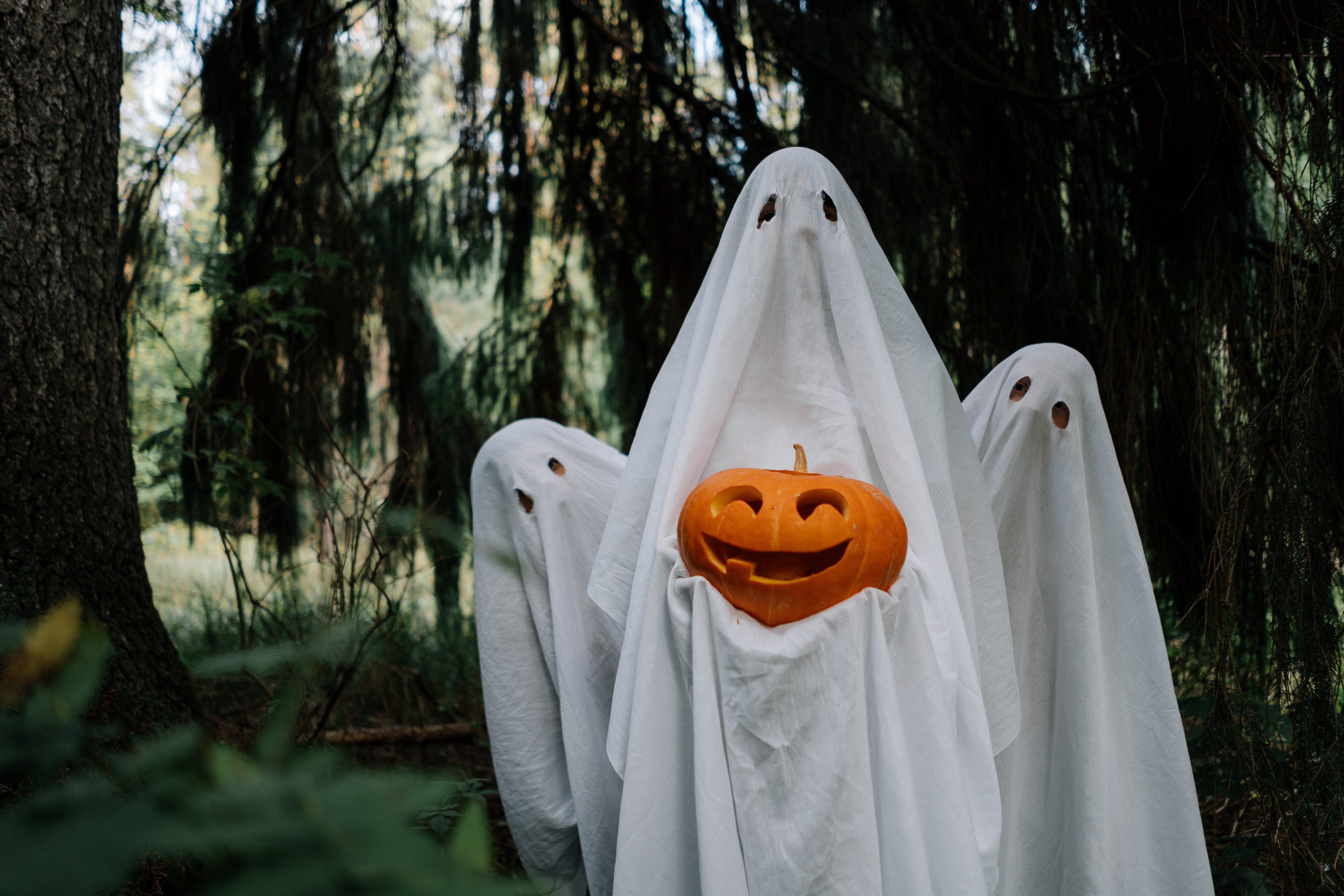 Best plus size Halloween costumes for women to buy online