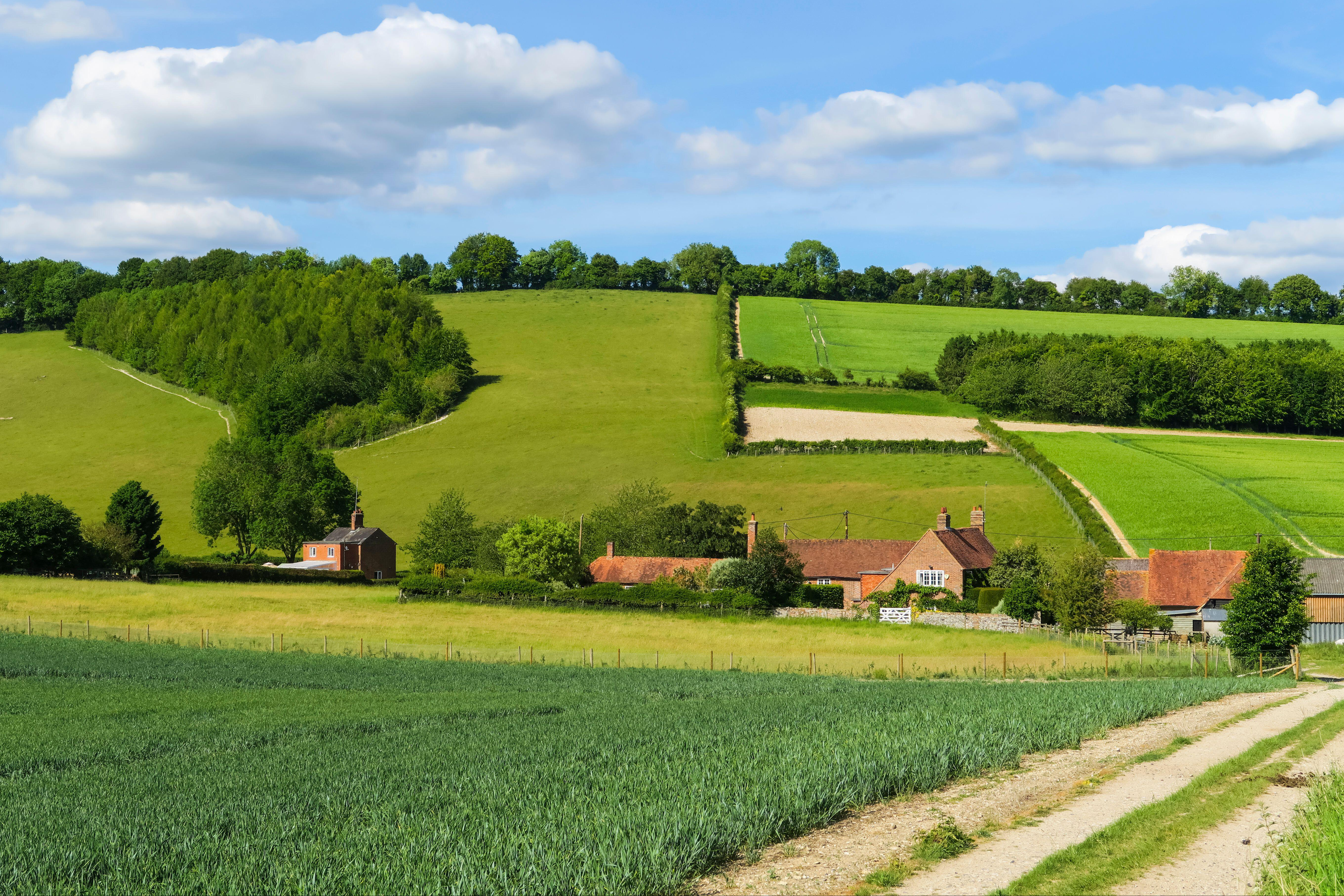 How to ensure a smooth move to the countryside — and avoid immediate regrets