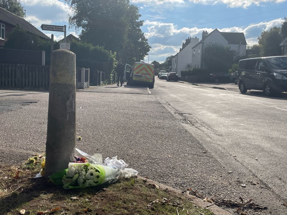 Dog attack in Stonnall