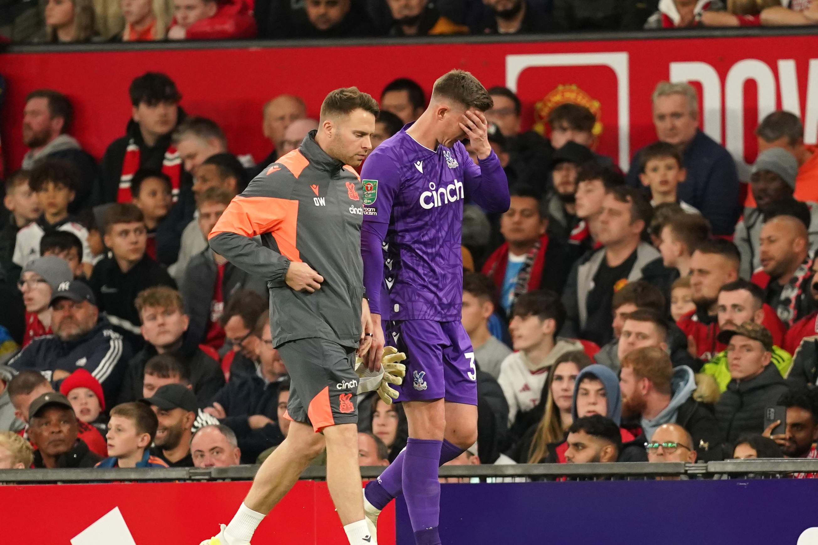 Palace star heads for scan as injury problems mount for Hodgson
