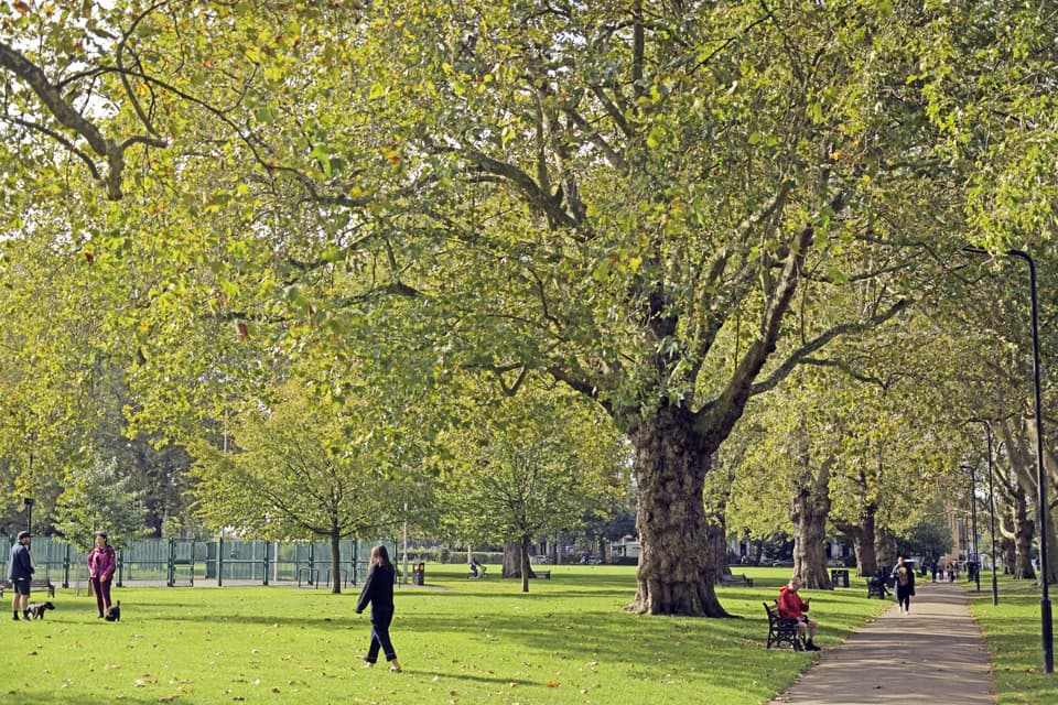 London Fields