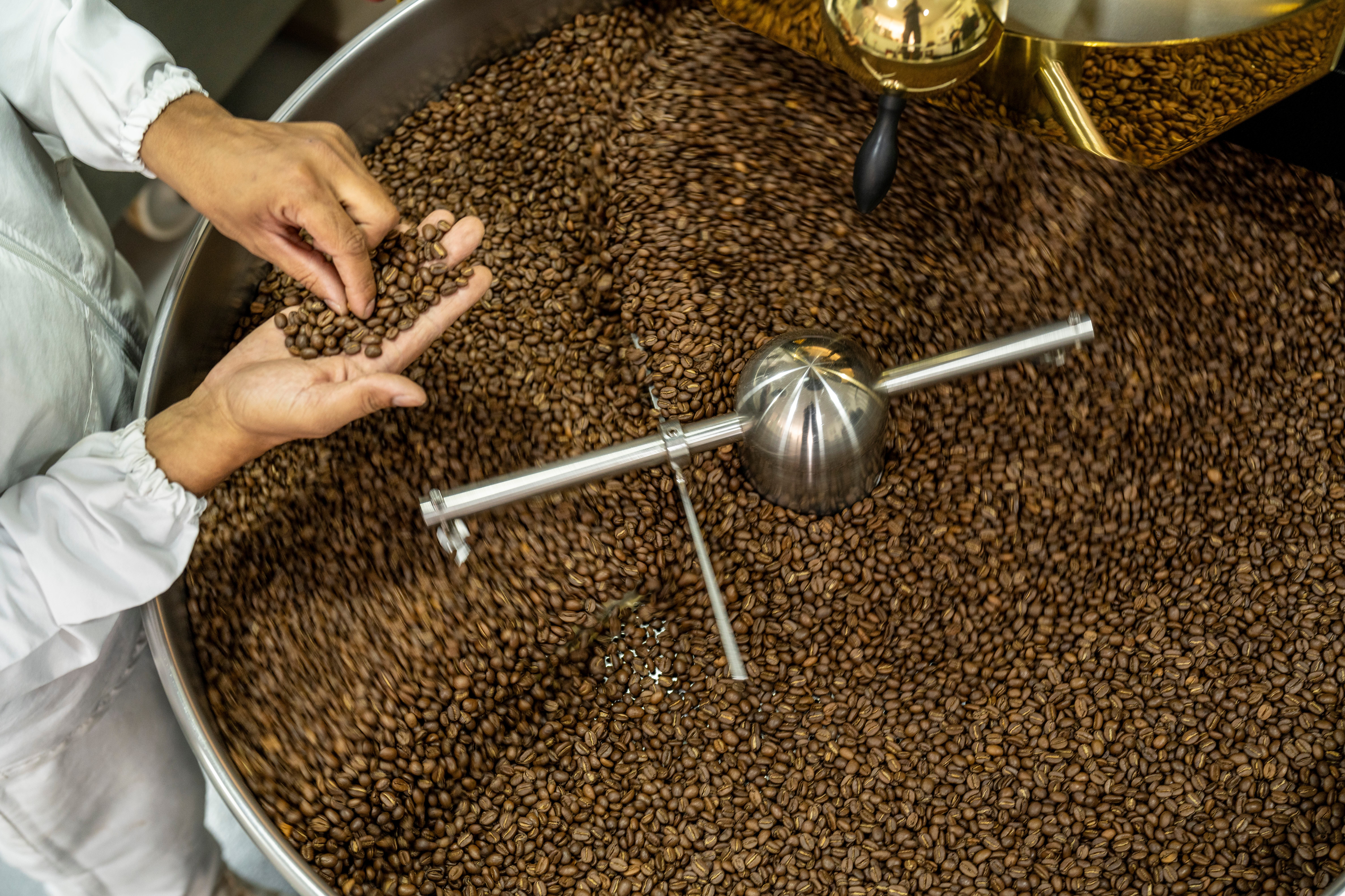 Deforestation rules could hit supply chain’s ‘weakest link’, coffee farmers warn