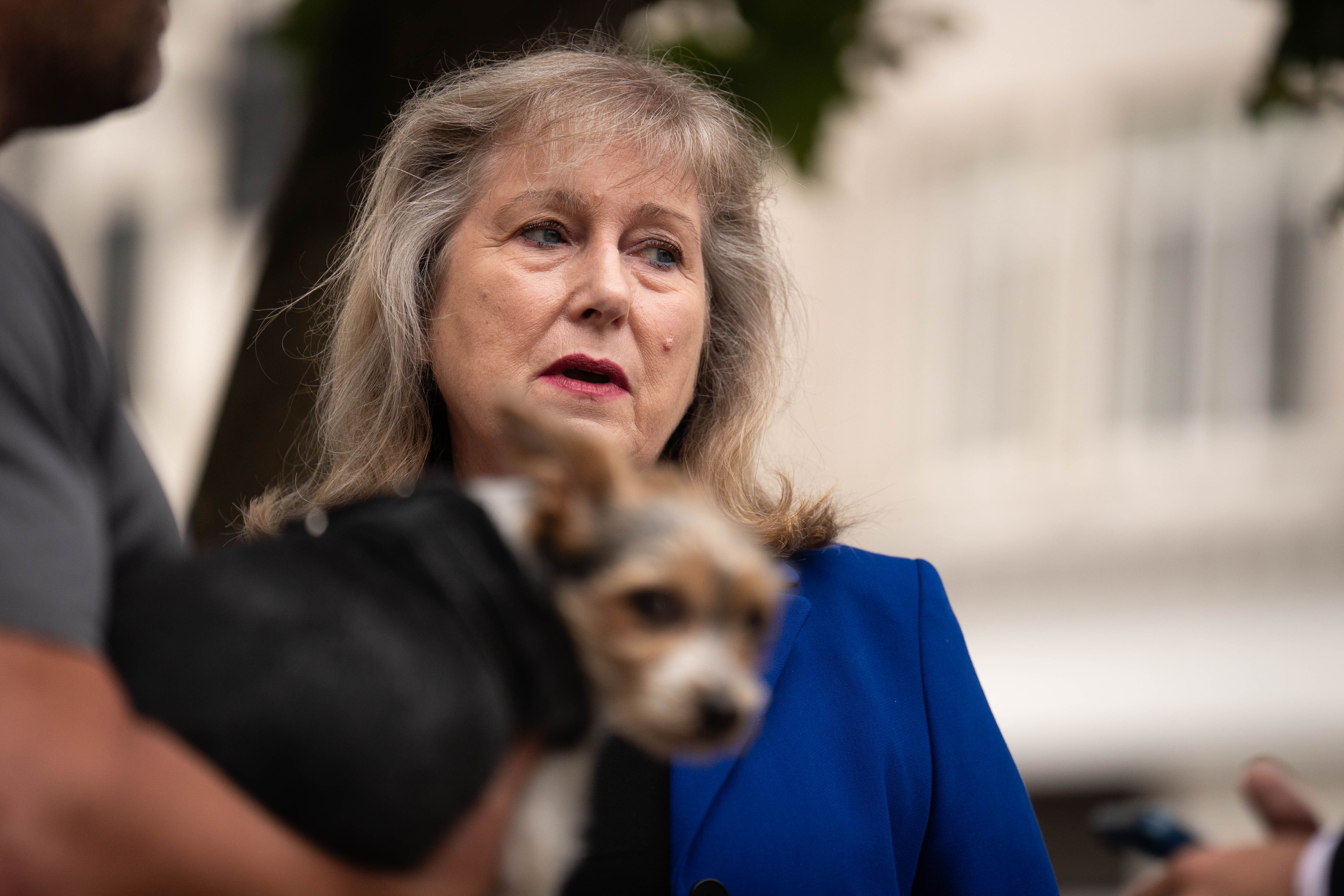 Tory London mayoral candidate Susan Hall's plans have £500m ‘black hole’, says Labour