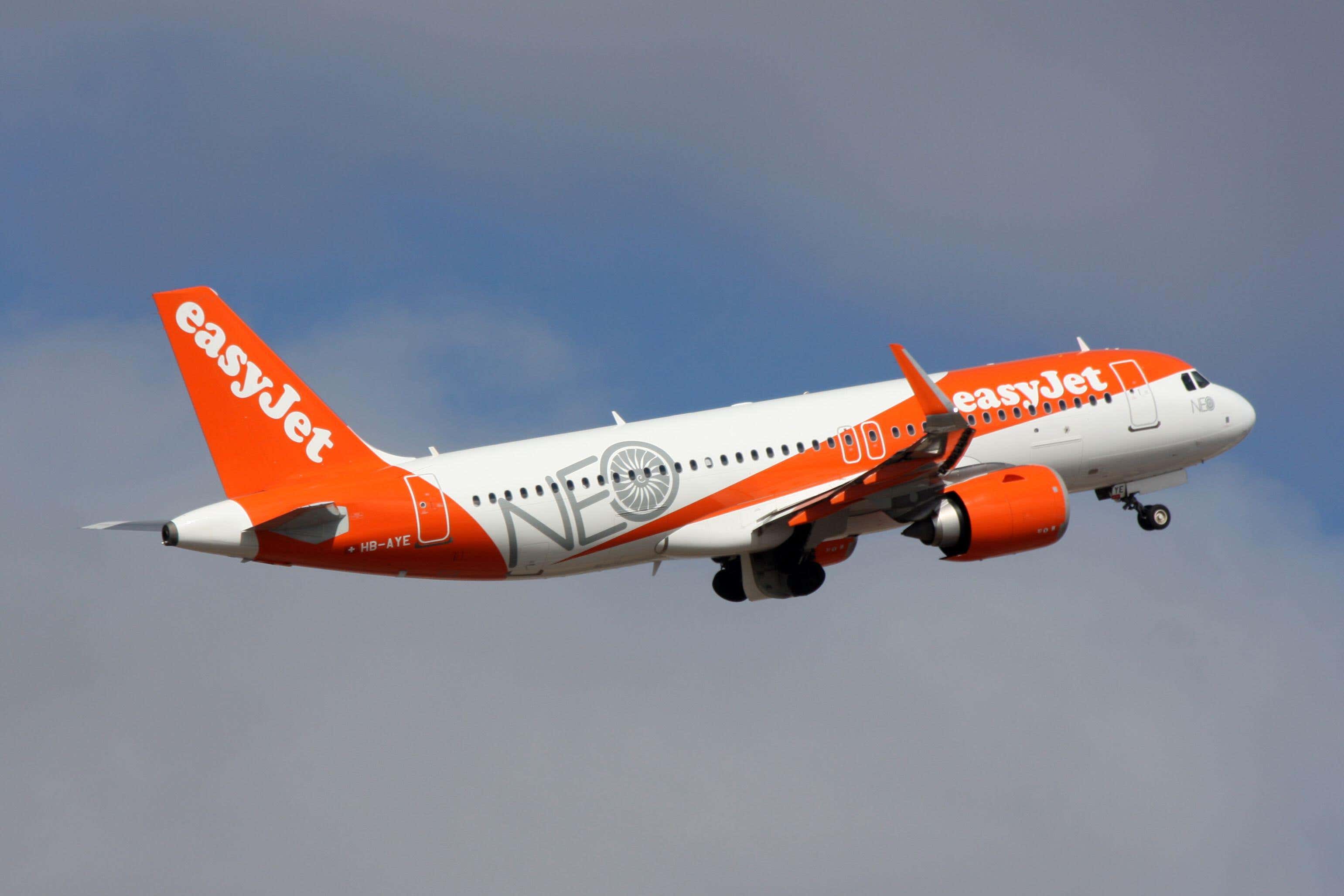 Ibiza resident says 'English animals' turned flight into nightmare