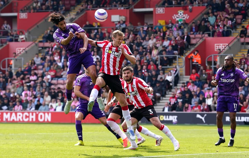 Southampton v Fulham - Premier League - St Mary's Stadium