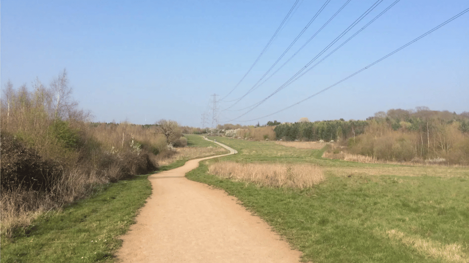 Pages Wood, on the Ingreborne Valley route