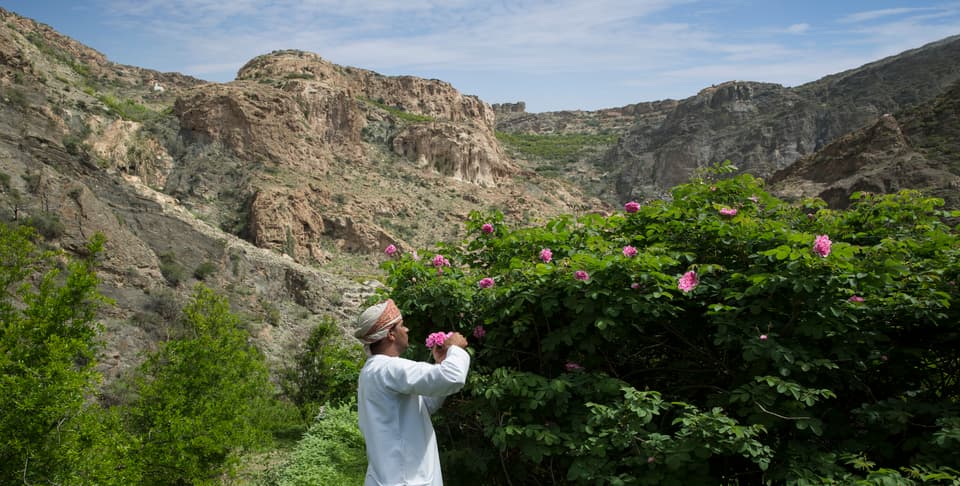 Anantara Al Jabal Al Akhdar rose garden