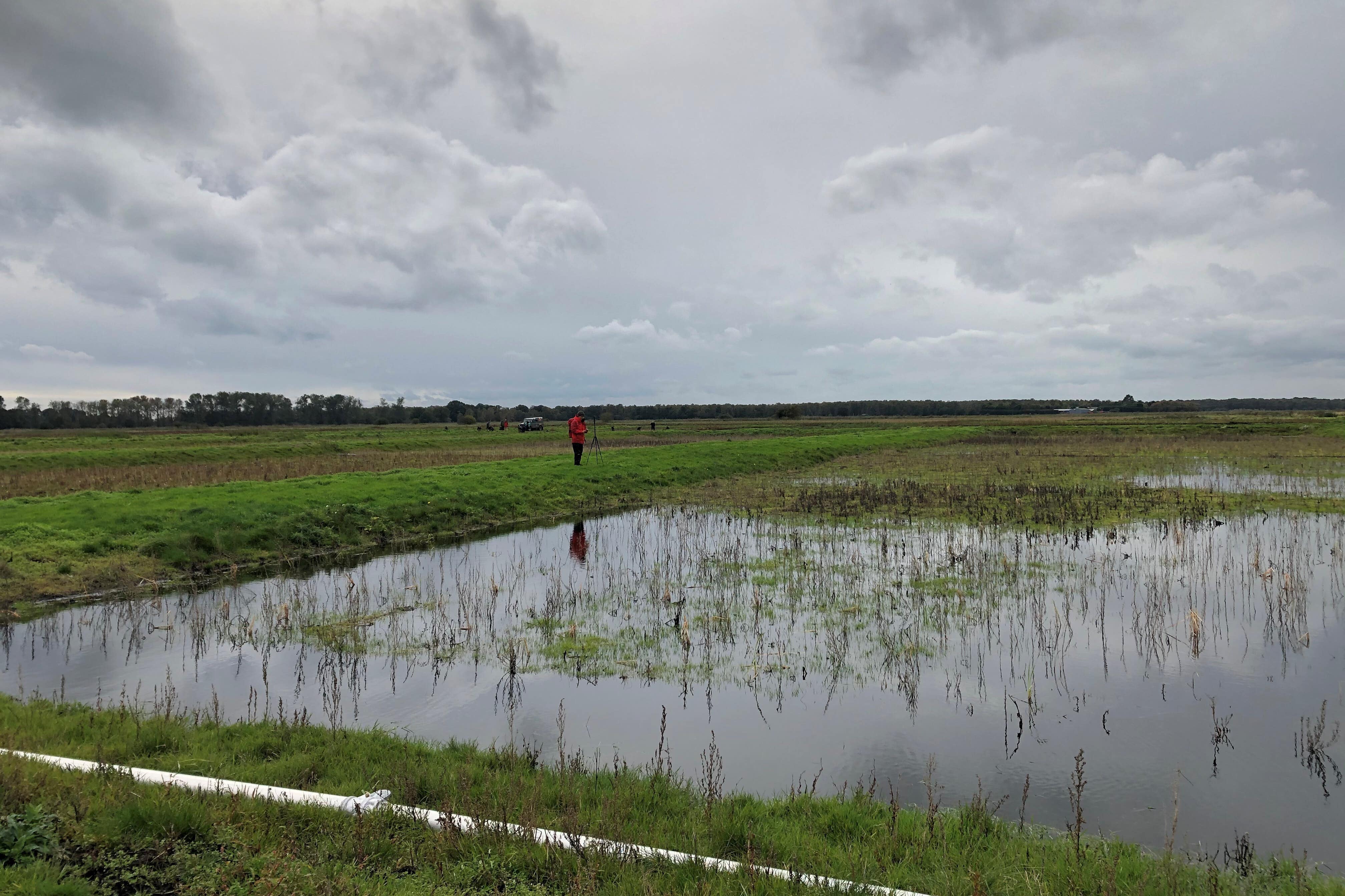 Pioneering mapping data shows 80% of England’s peatlands are dry and degraded