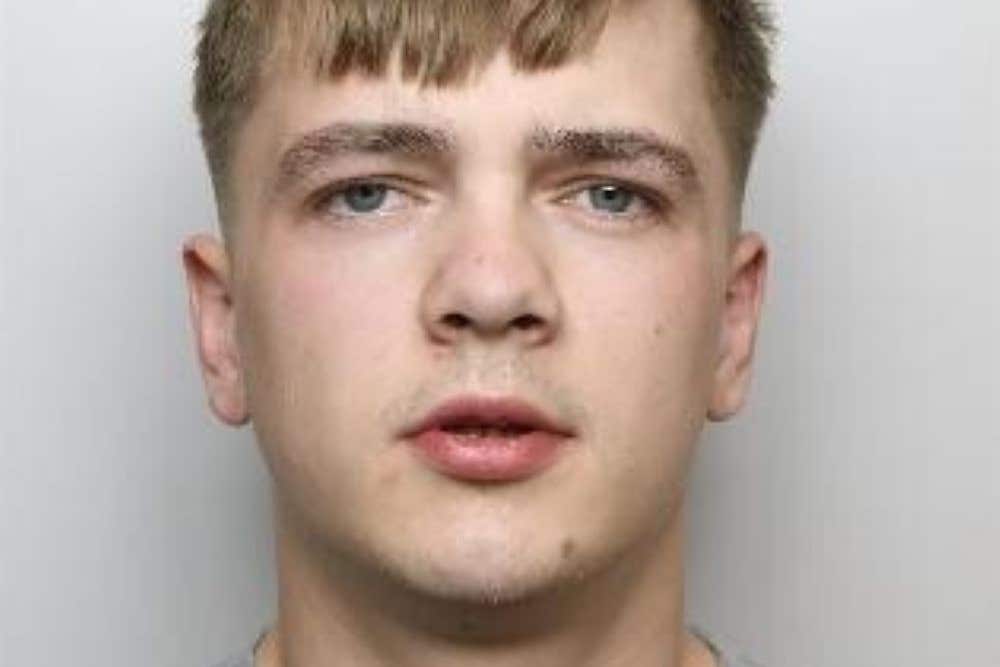 Driver who inhaled nitrous oxide before killing man, 81, detained for 11 years
