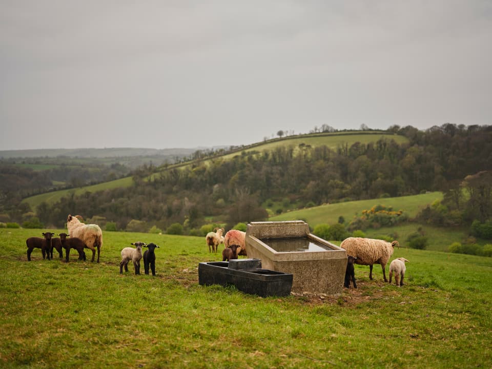 Fowlescombe Farm, Devon