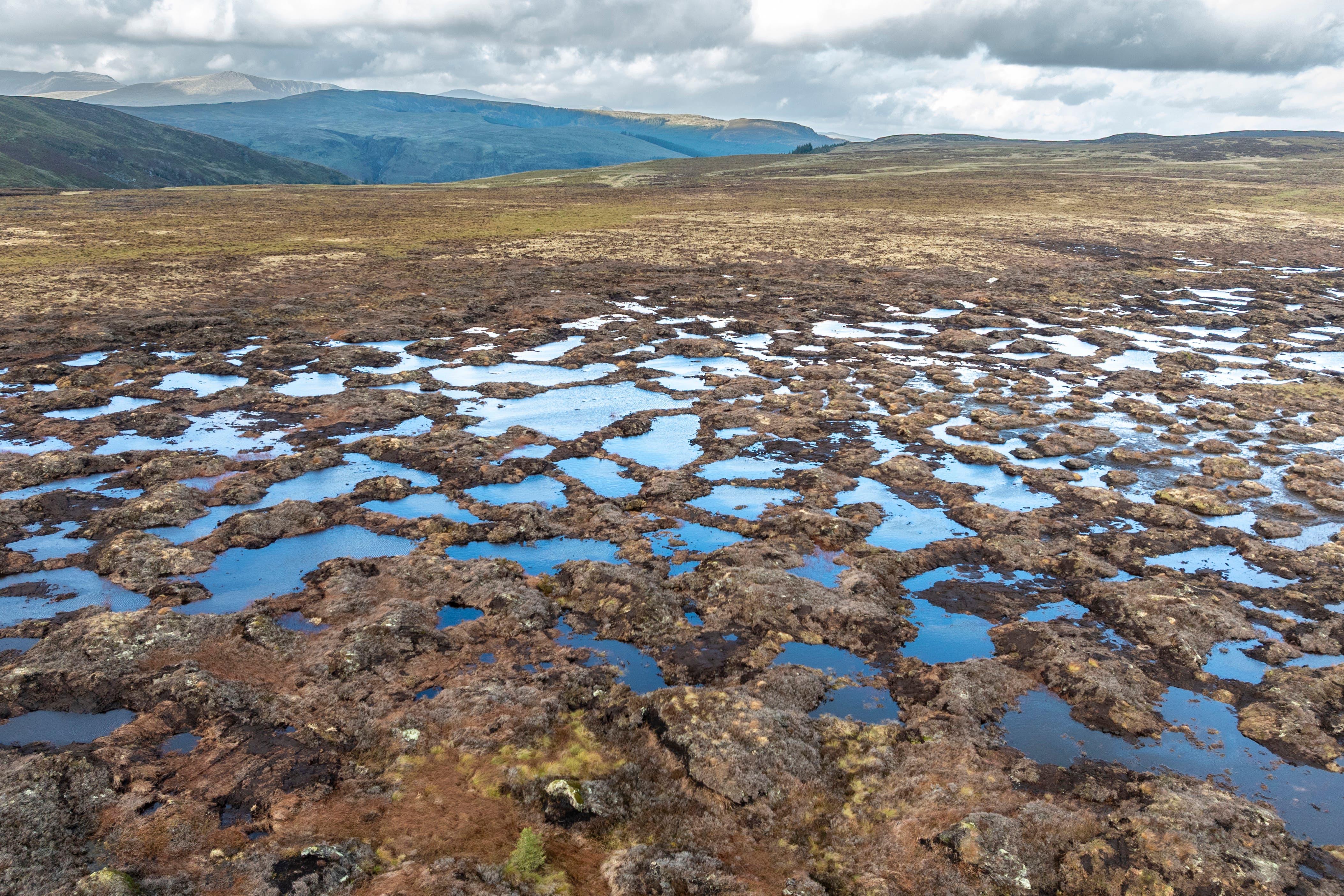 National Trust and Admiral team up to boost nature-based solutions for flooding