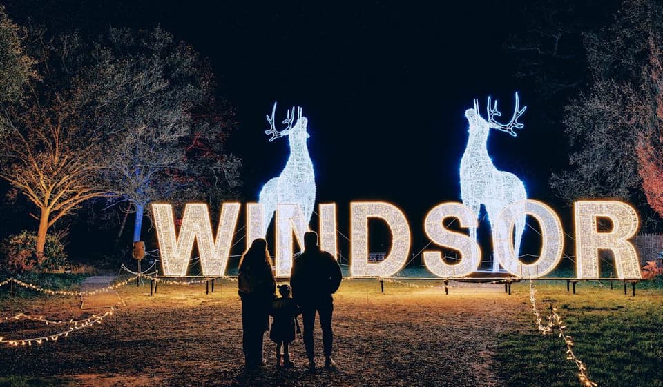 Windsor Illuminated
