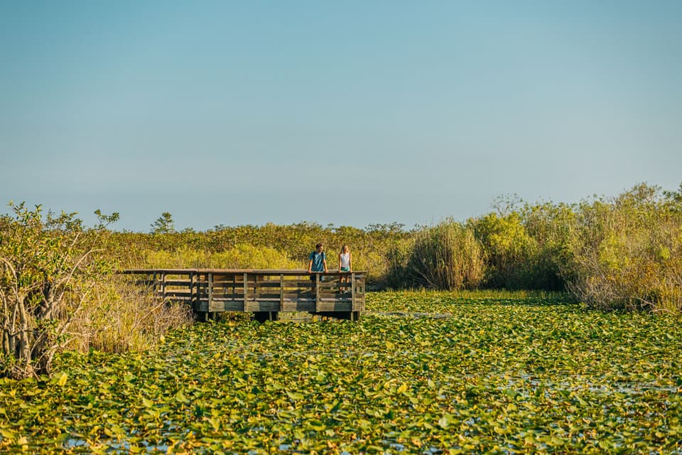 Everglades Anhinga Trail
