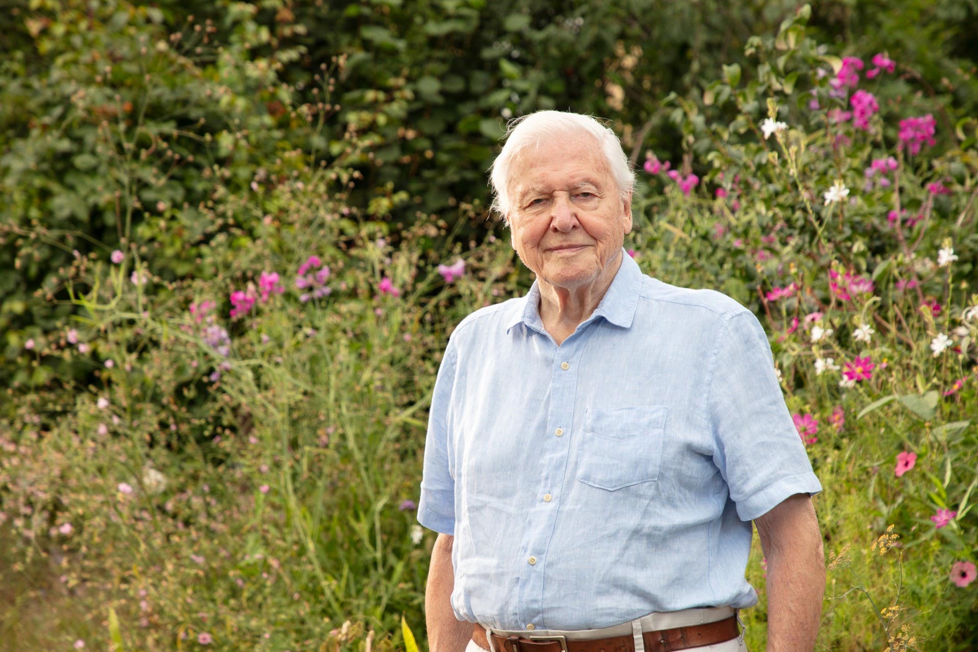 BBC announces major plans for David Attenborough’s 100th birthday