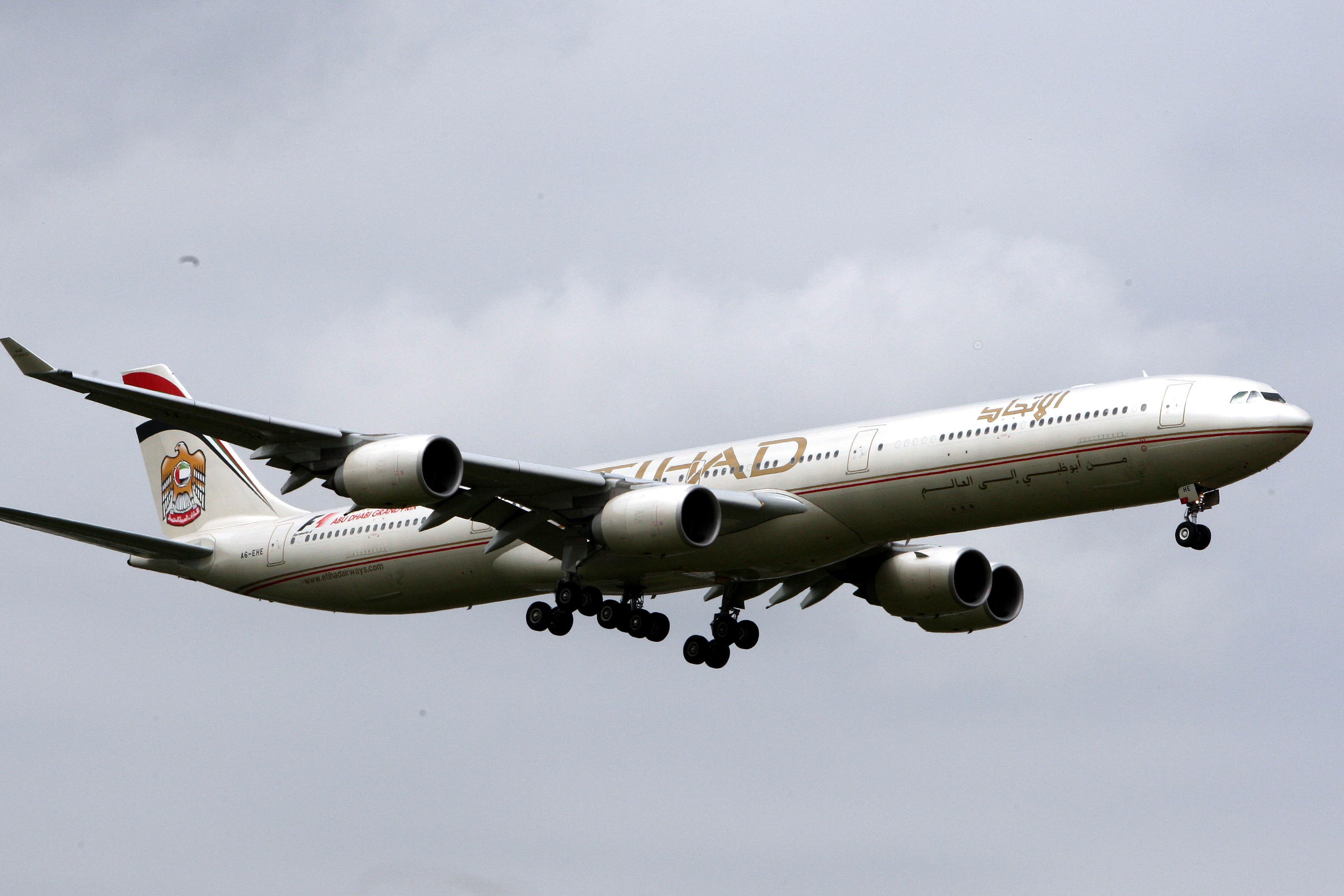Government ‘looking at all options’ to support Britons as some flights resume