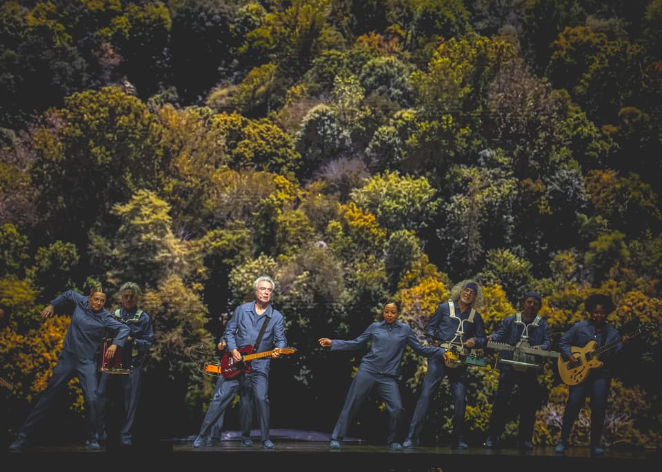 David Byrne