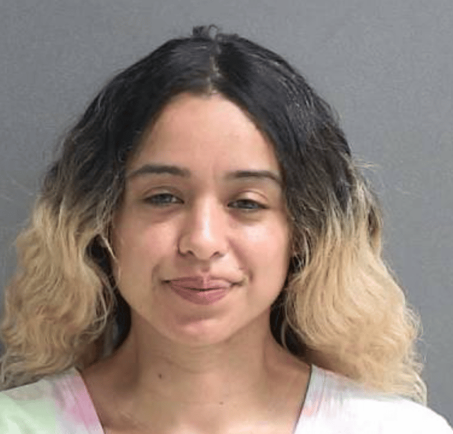 15629159 Woman, 35, who shot at Rihanna's home is charged with attempted MURDER
