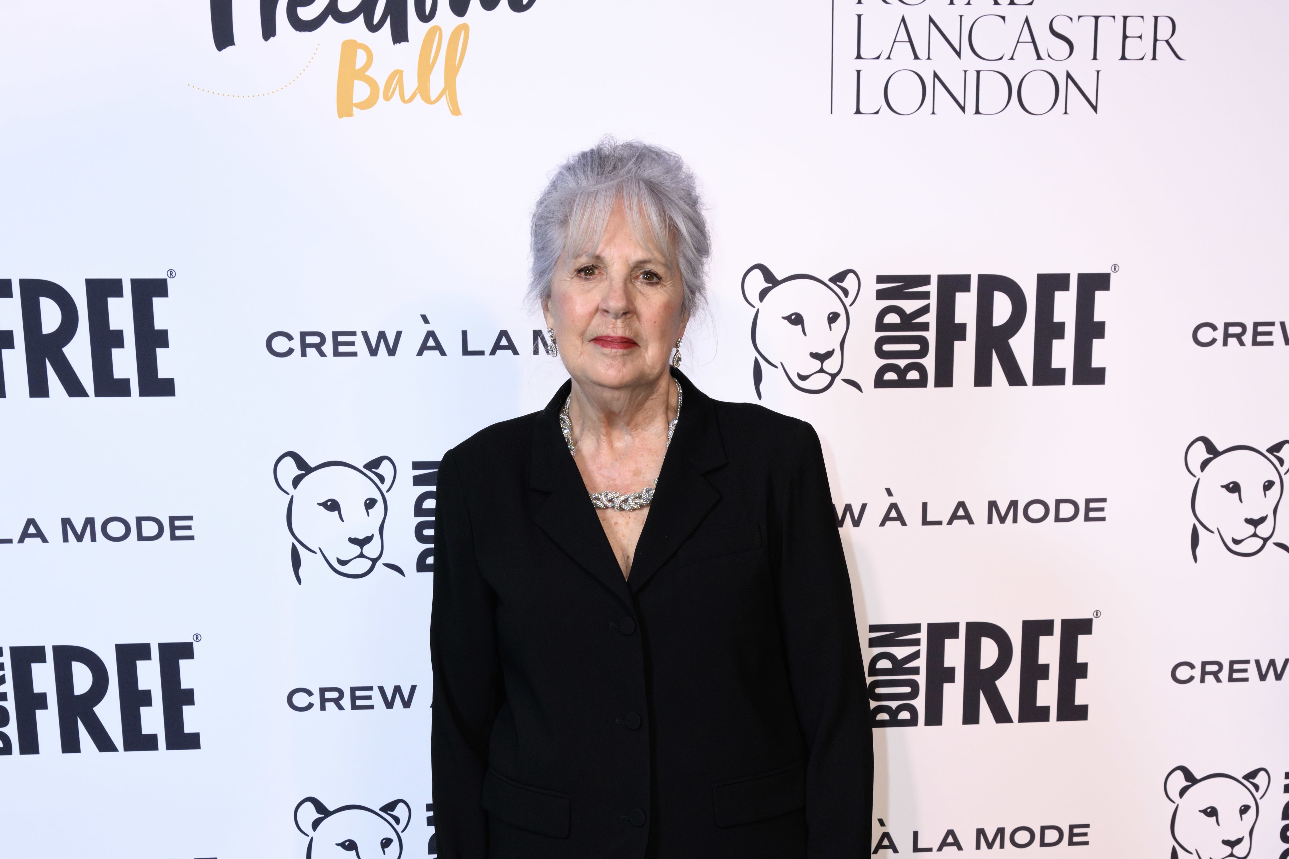 Penelope Wilton to star as woman who survived suicide pact in new ITV drama