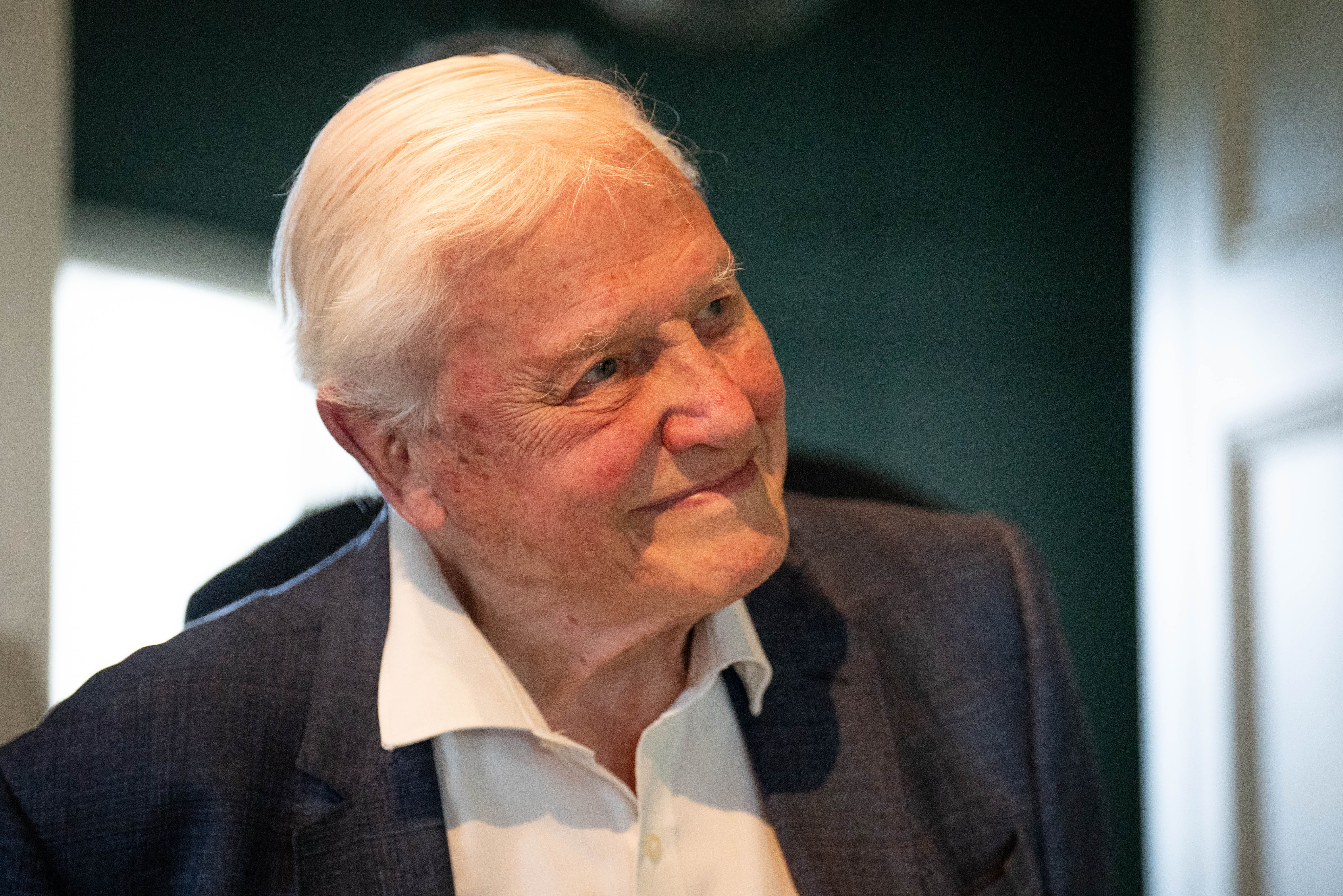 David Attenborough at 100 – bringing wonder to millions