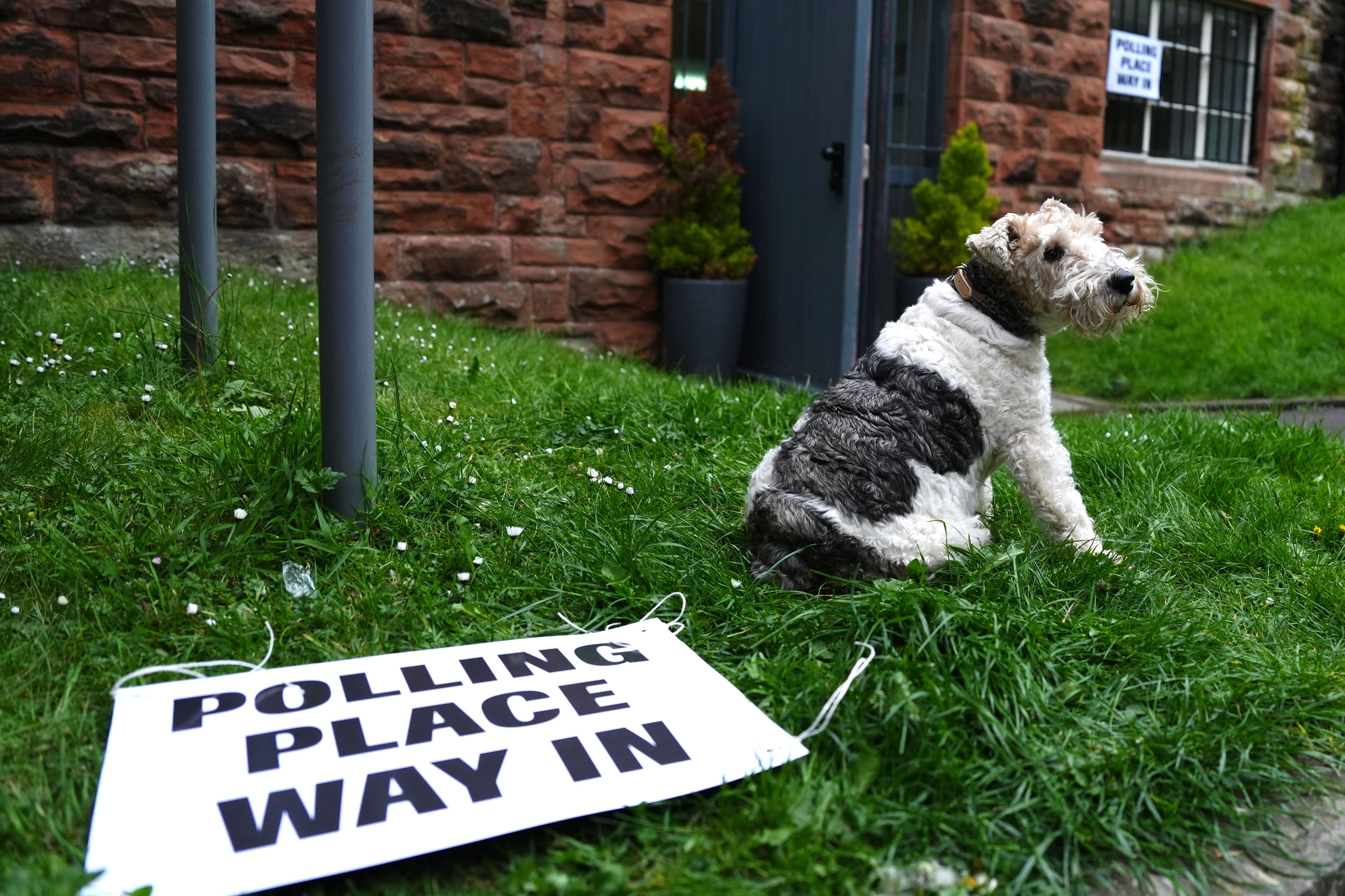 In Pictures: Major parties fearing ‘ruff’ results as dogs join owners to vote