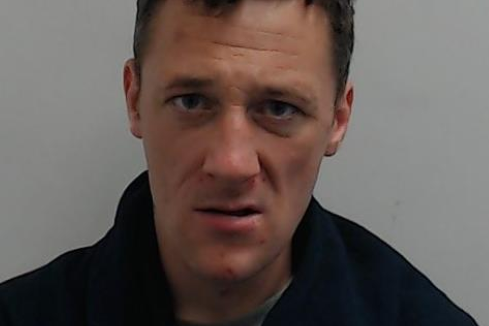 Officers condemn ‘sickening’ sexual assault on crowded train