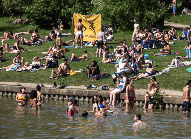 <p>  People in a wildlife pond on Hampstead Heath   </p>