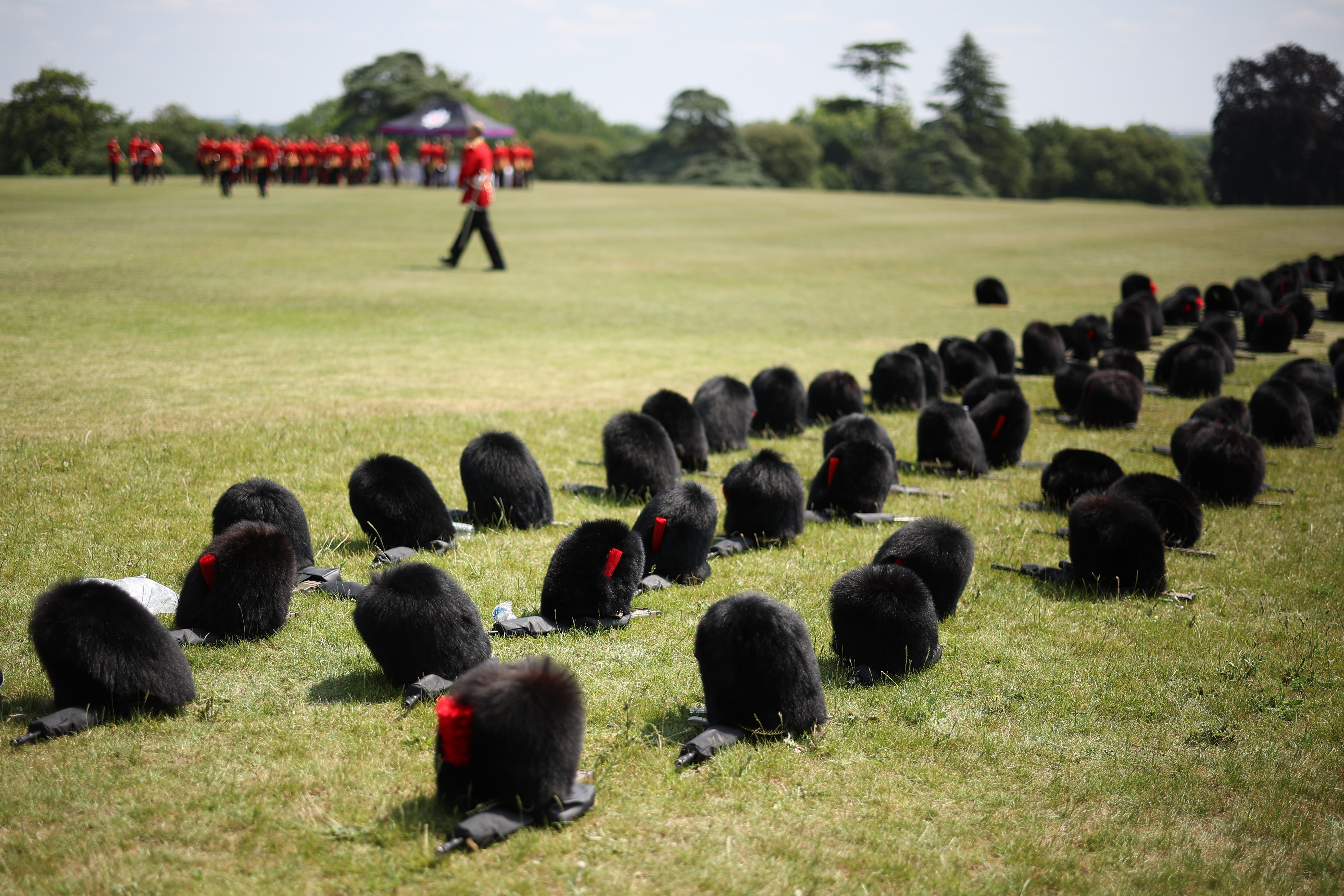 Animal rights anger over rise in Bearskin cap orders for royal guards