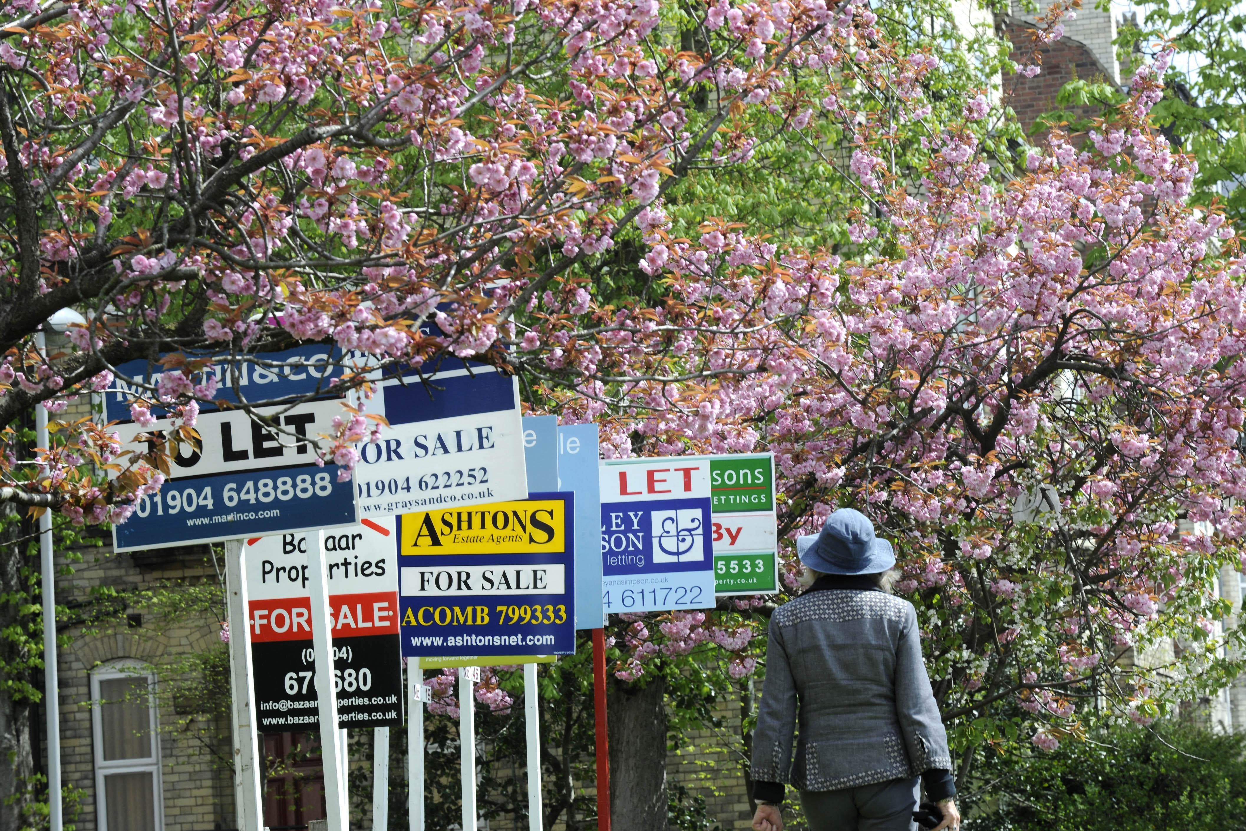 Subdued housing market may be starting to stabilise – surveyors