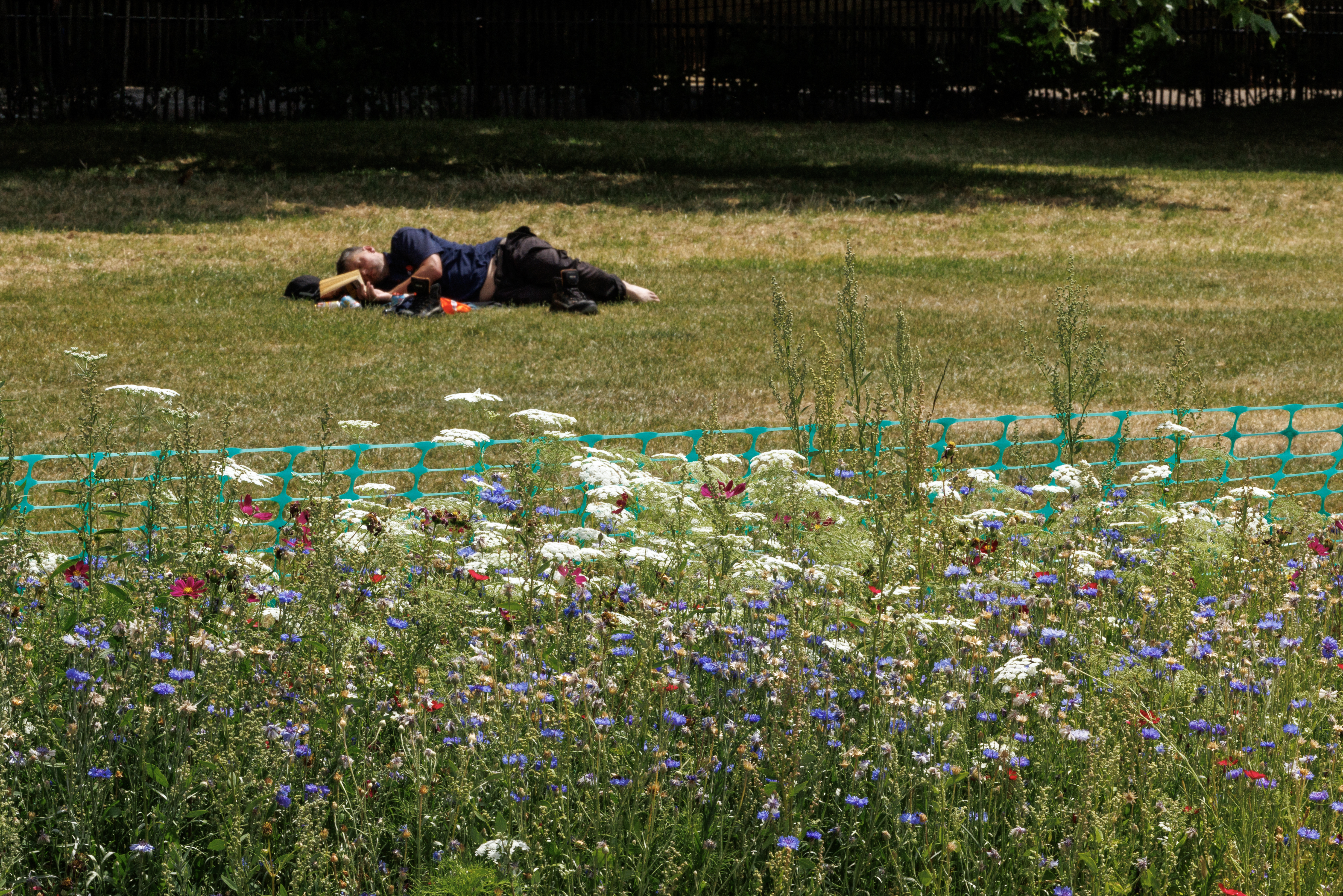 When will it rain again in London? Hosepipe ban fears grow