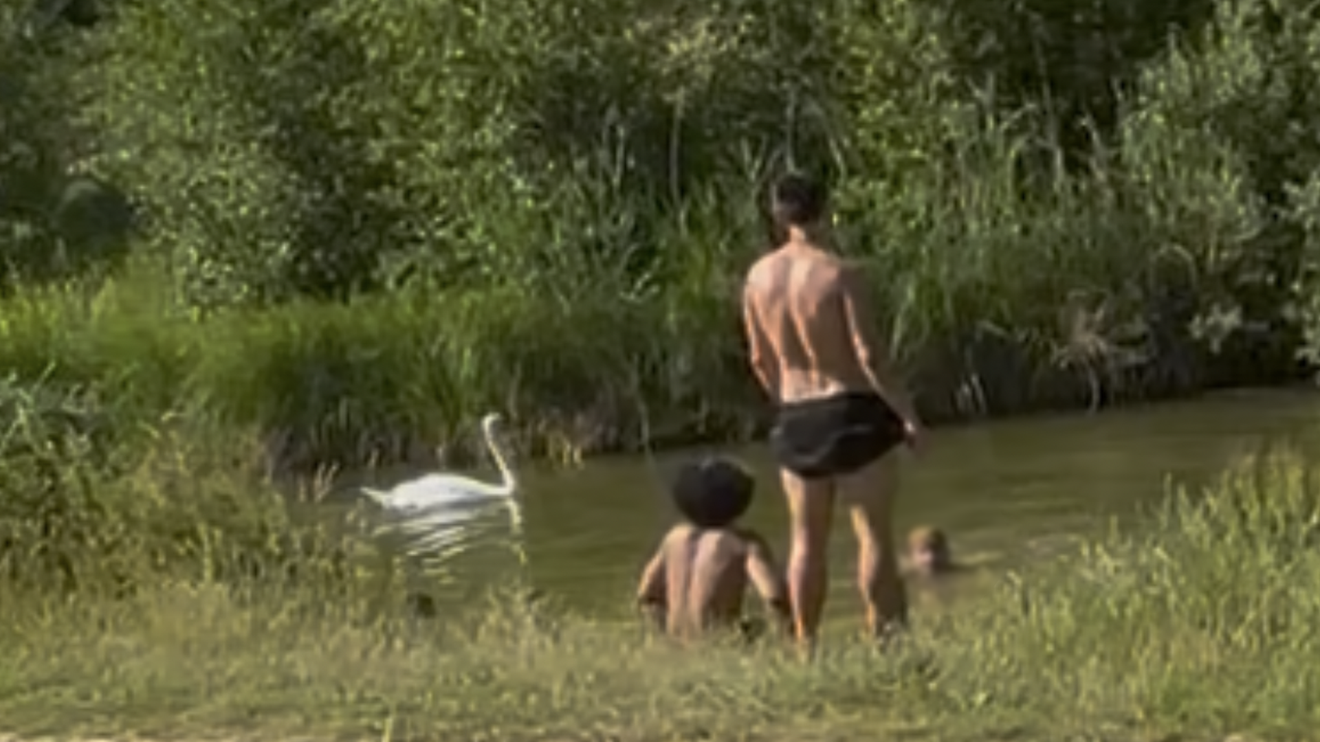 Hampstead Heath illegal swimmers told: 'Stay home and take a shower' 