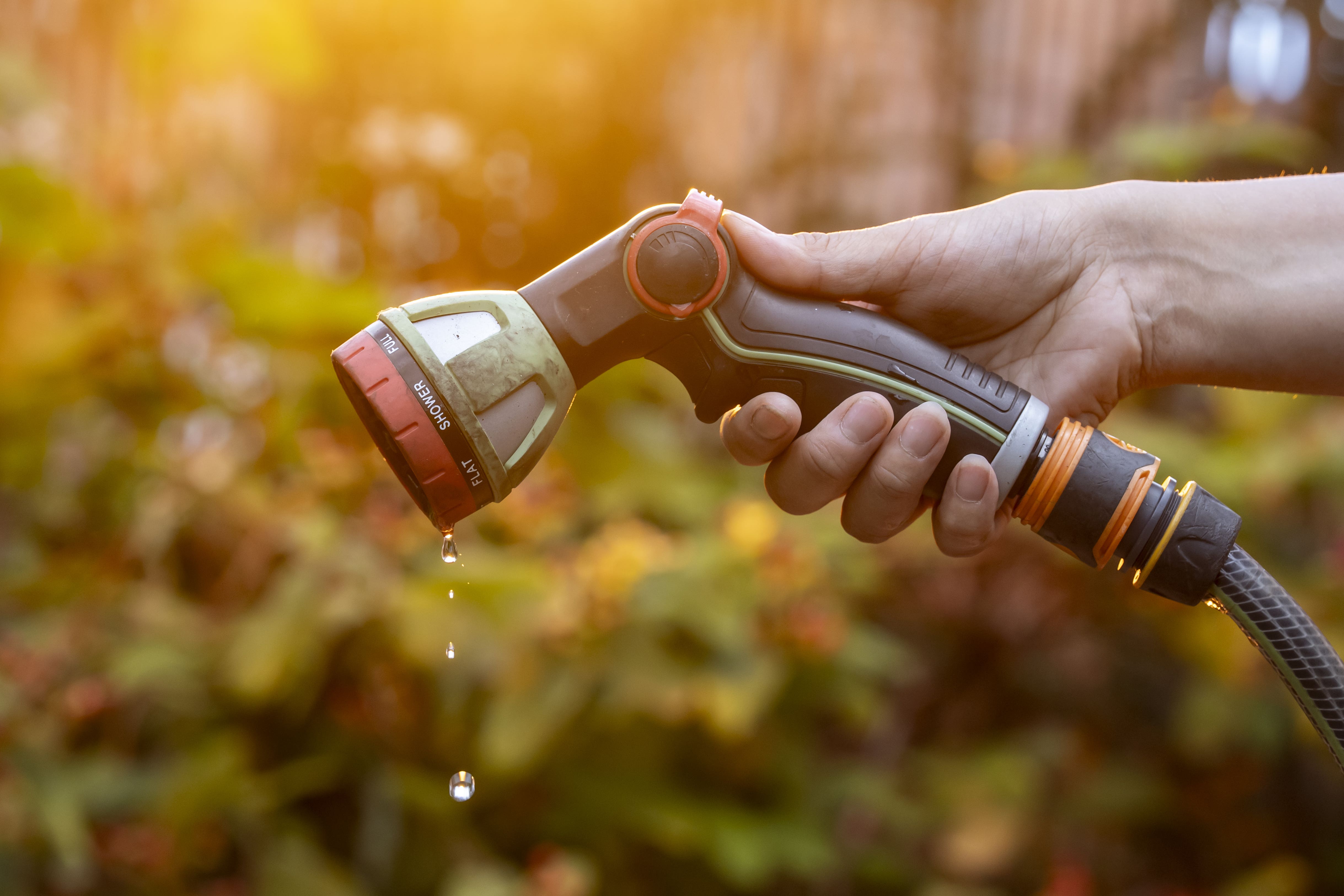 Millions more under hosepipe ban as nation swelters in third heatwave
