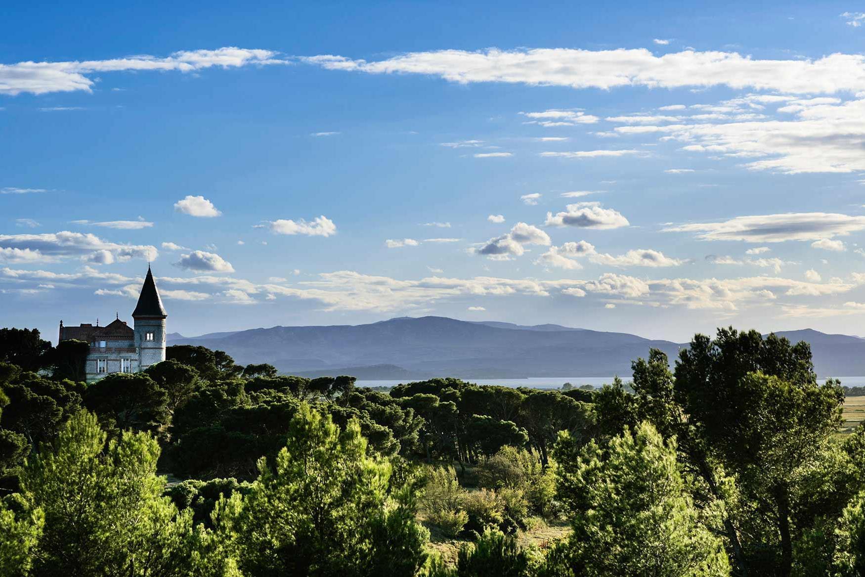 Enjoy the wine at your own vineyard villa in south-west France