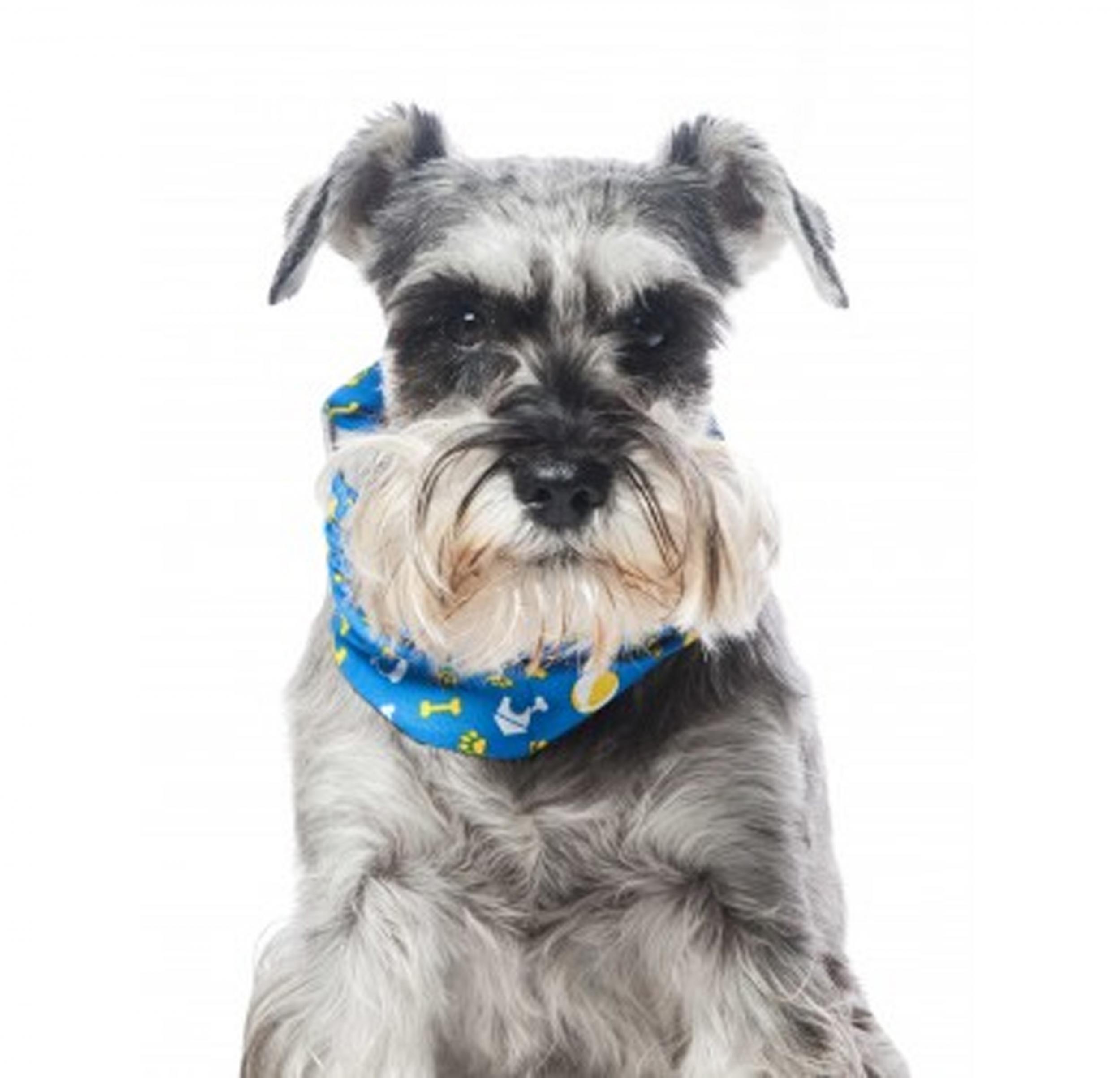 Pet insurance that lasts a lifetime