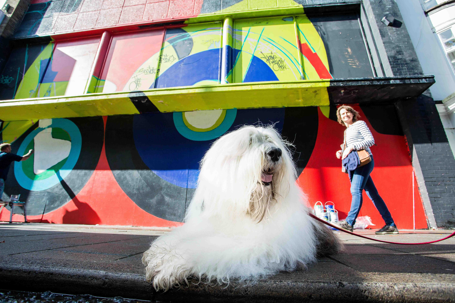 Dulux owner AkzoNobel rejects $21bn takeover bid