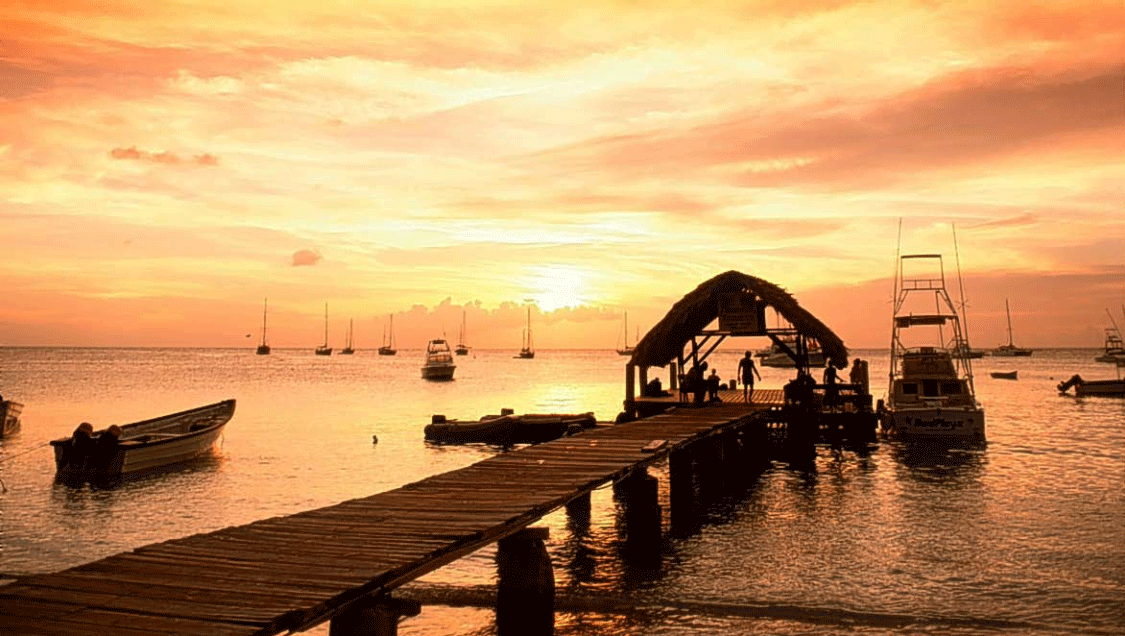 Returning home to demi-paradise