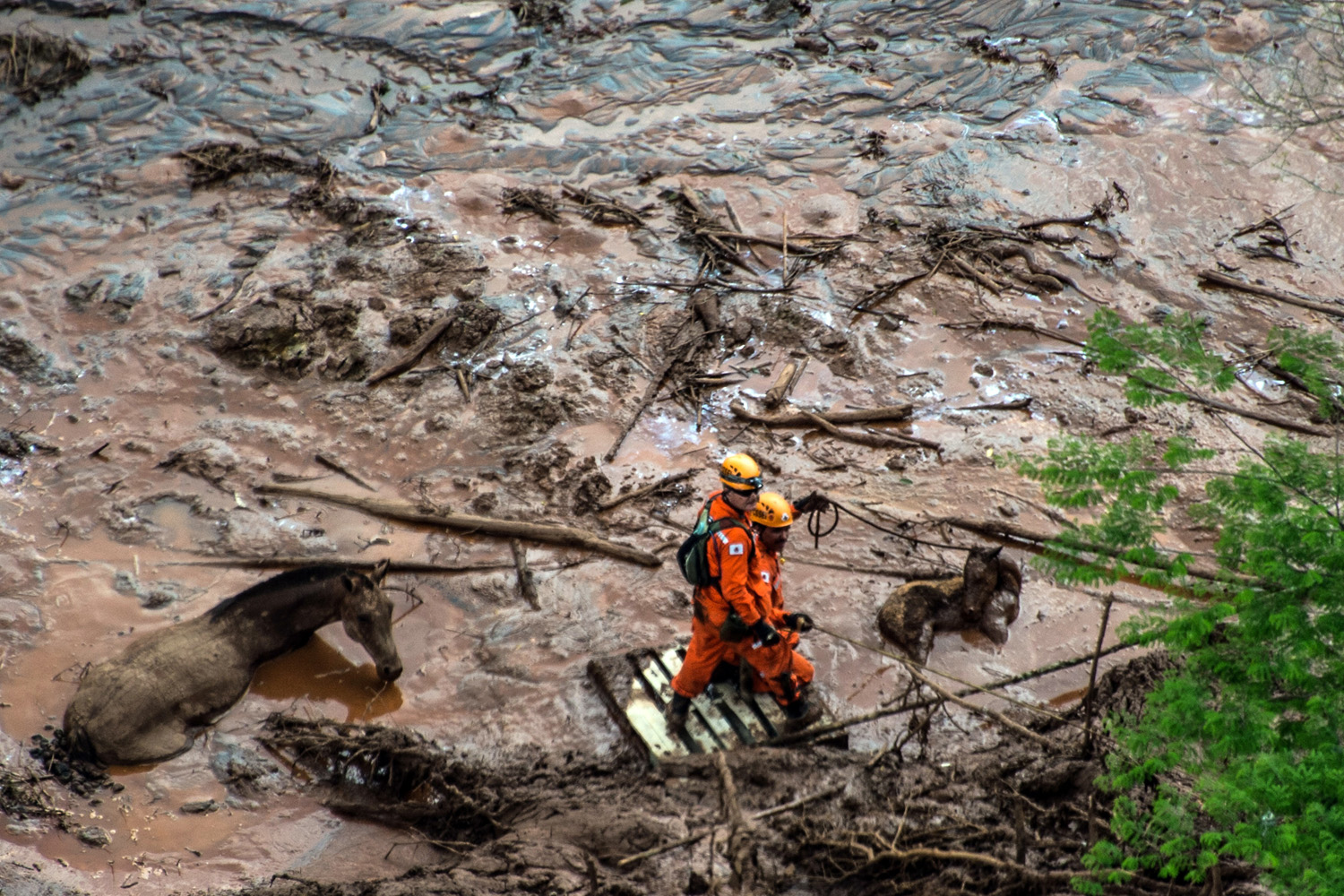 Mining giant BHP reopens Brazil mine five years on from dam disaster