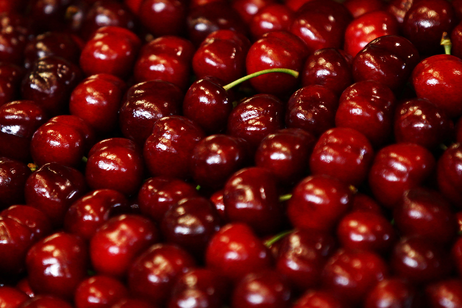 6 reasons why eating cherries is scientifically good for you
