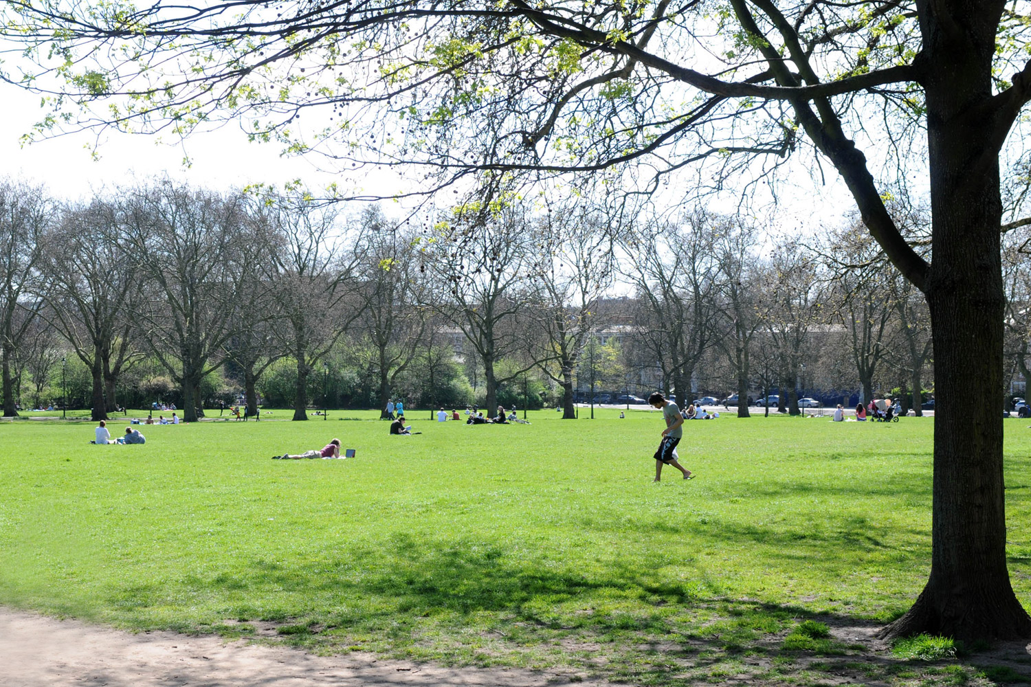 Protesters set to take council to court over barbecues in park